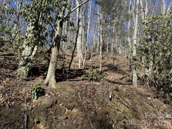 Perfect for building your private getaway home. Minutes from downtown Hendersonville. Located between Asheville, Brevard and Tryon. This location is perfect for a main residence or second getaway. Private road, unimproved.