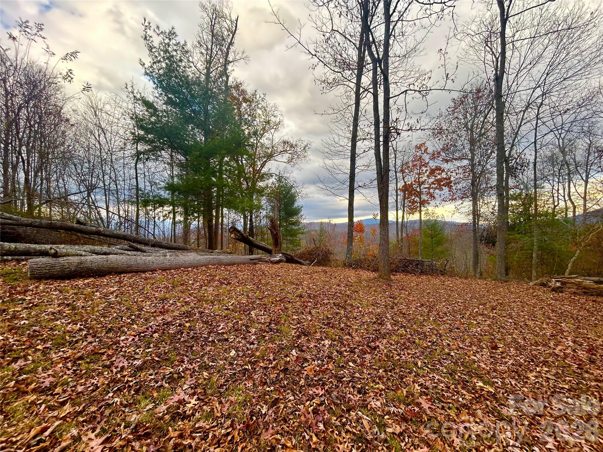 River Crest - Land