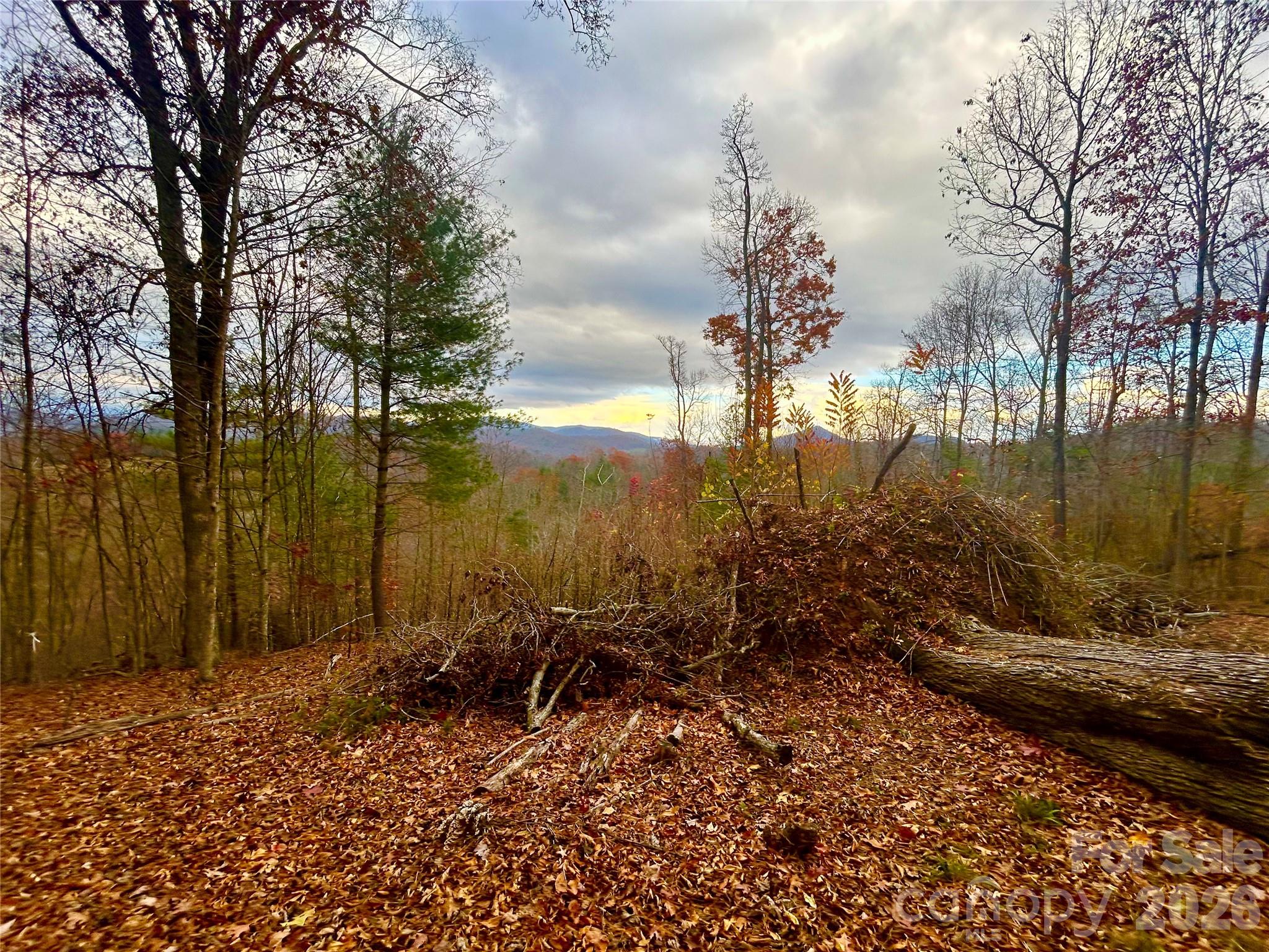 River Crest - Land