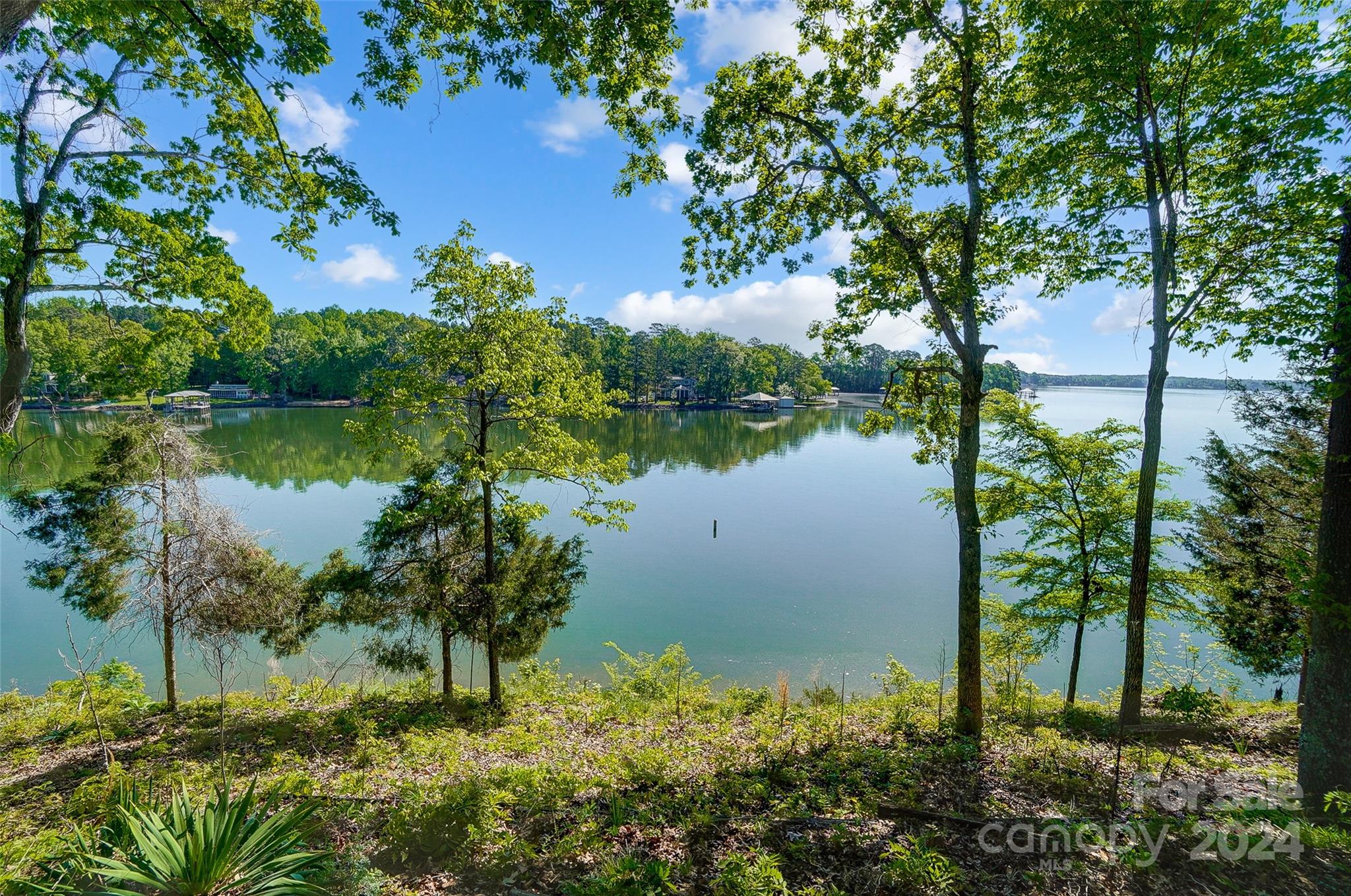 Lake Wylie - Residential