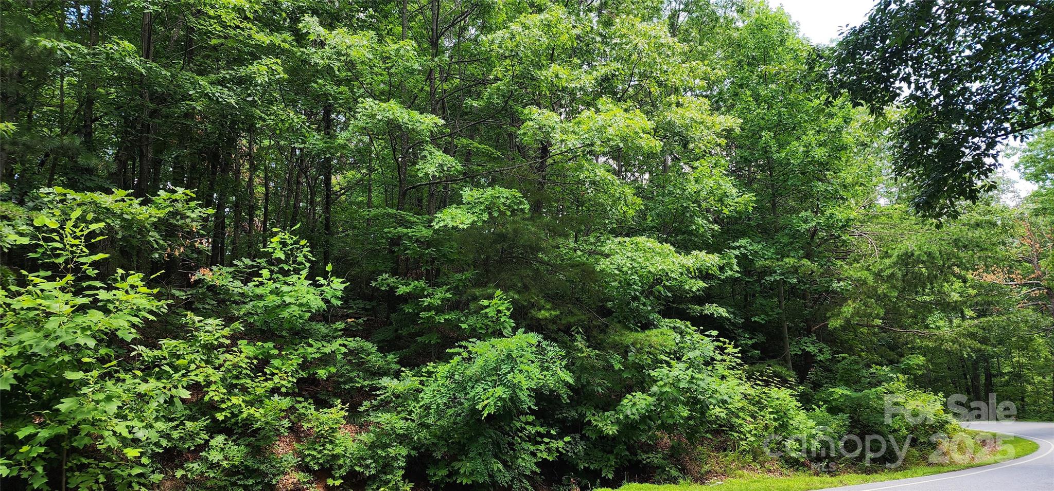 White Oak Mountain - Land