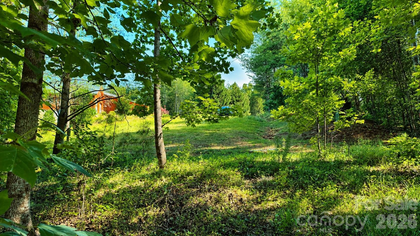 The Coves Mountain River Club - Land