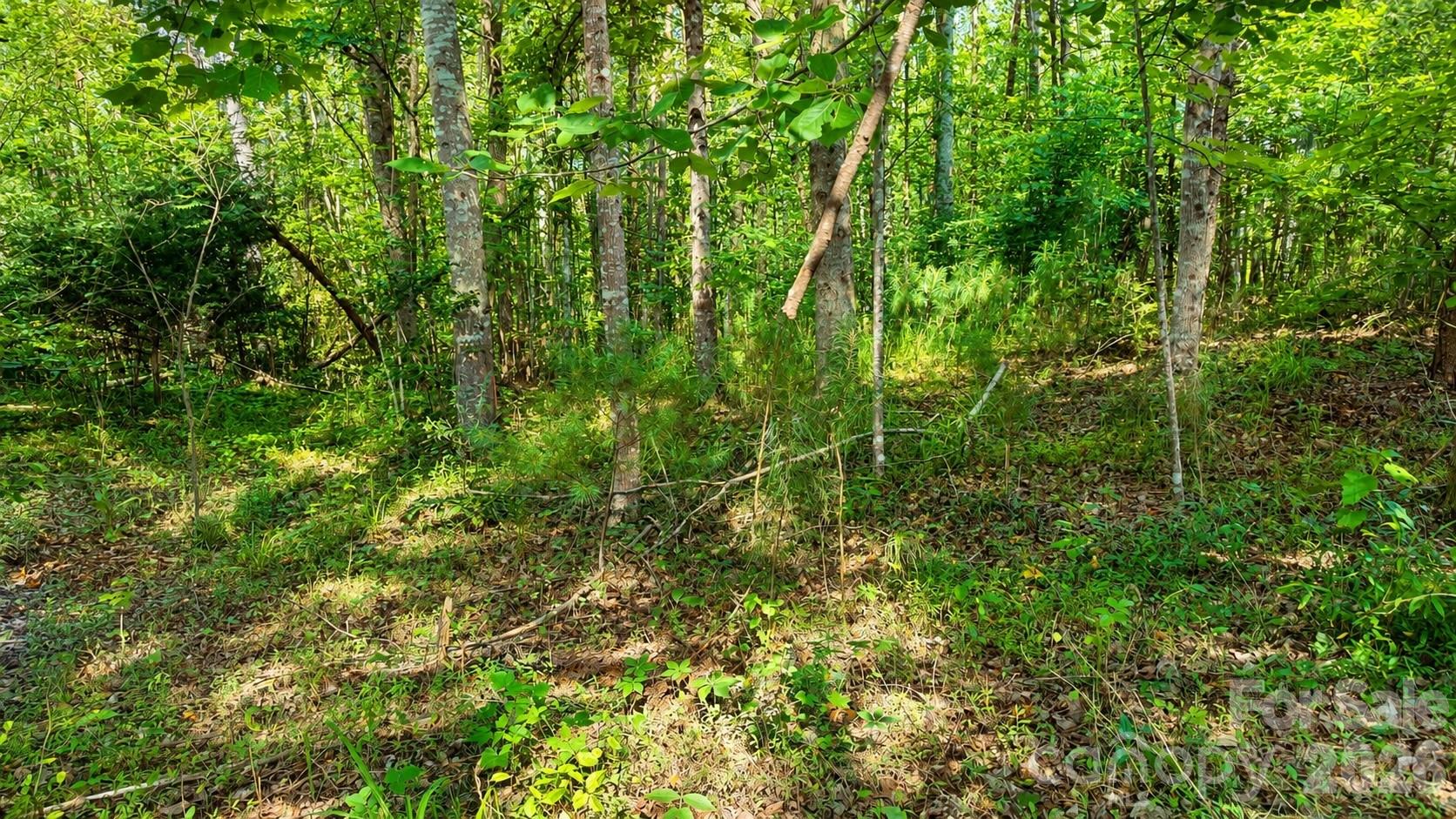 The Coves Mountain River Club - Land