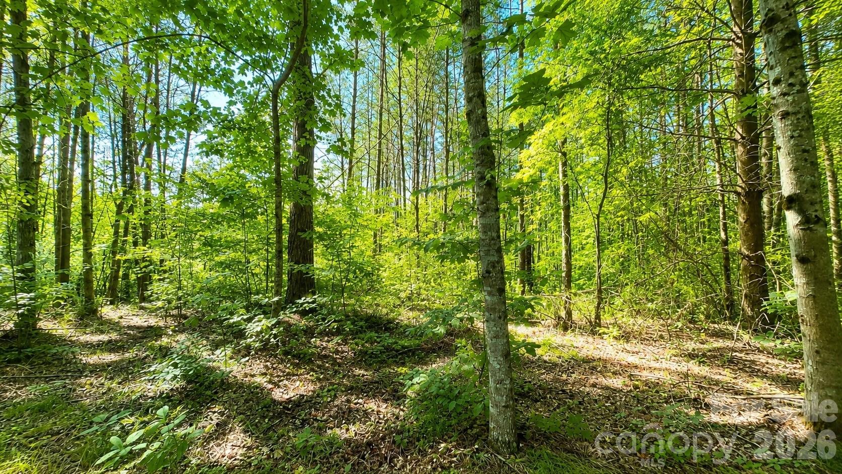 The Coves Mountain River Club - Land