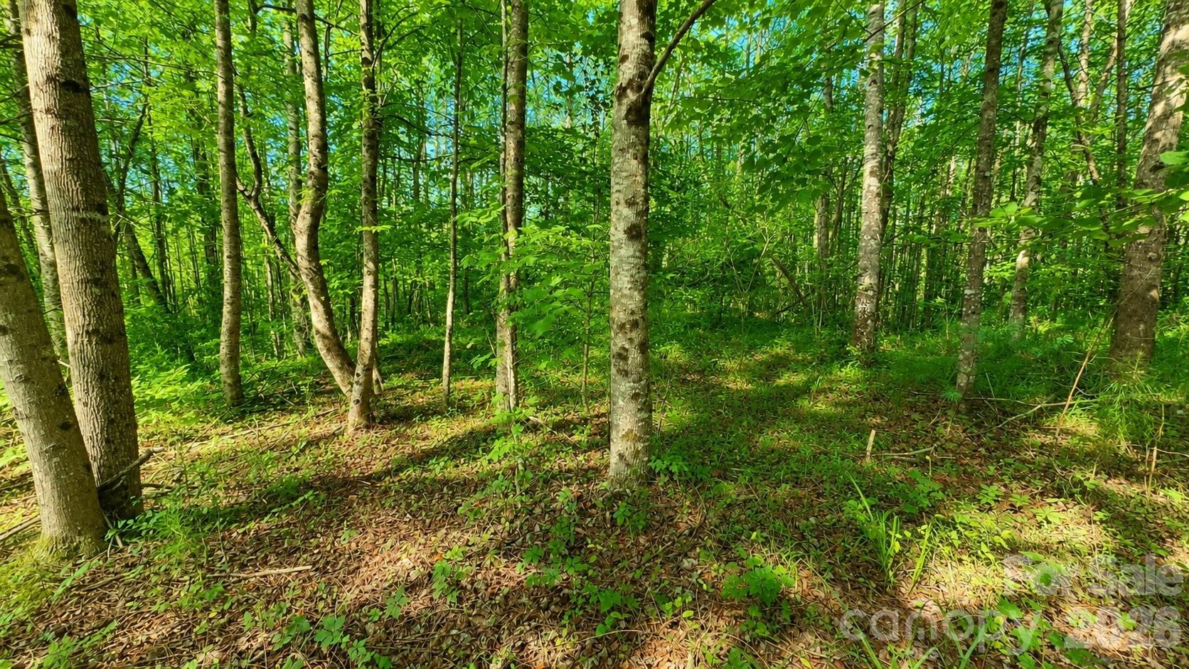 The Coves Mountain River Club - Land