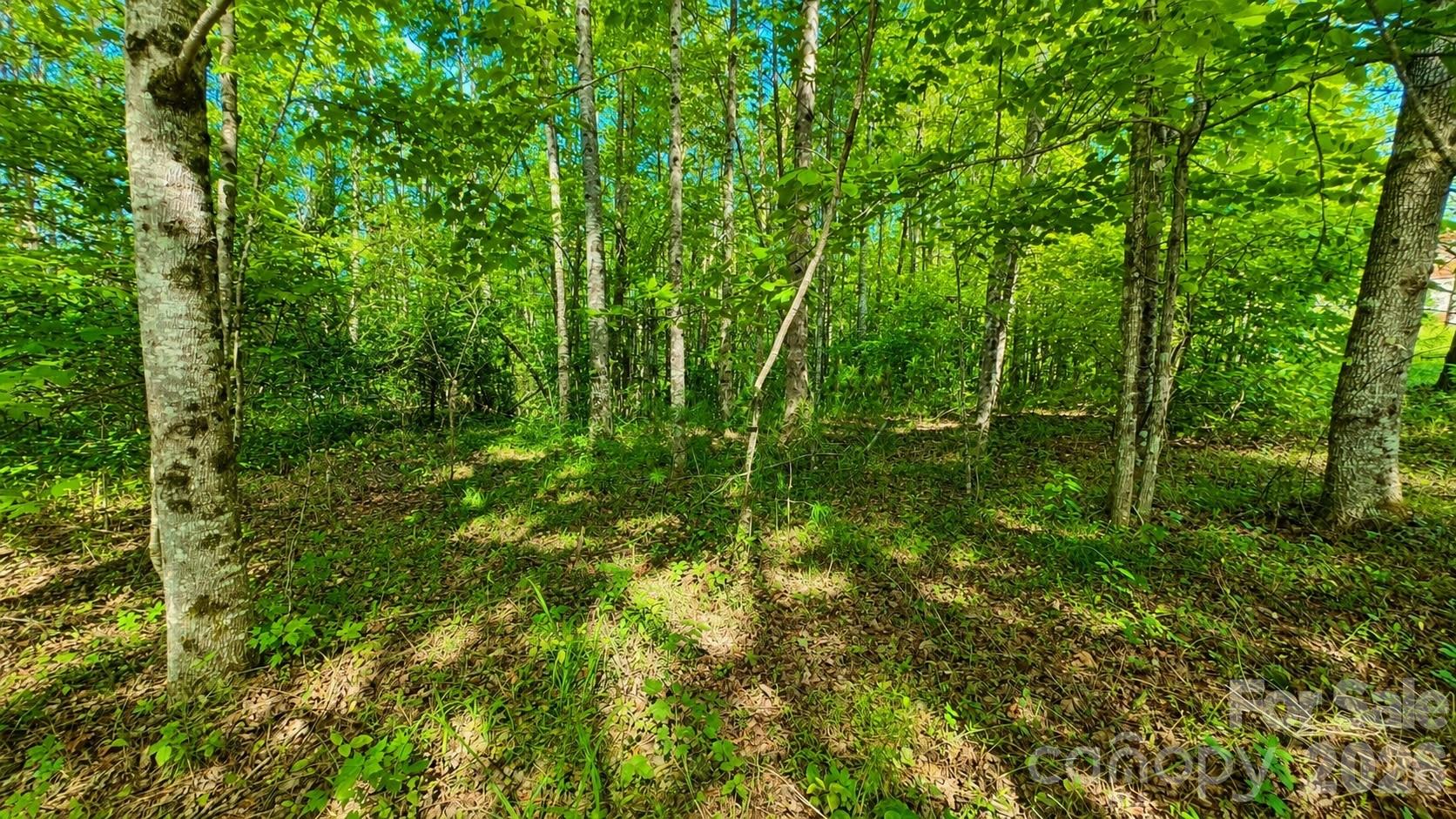 The Coves Mountain River Club - Land