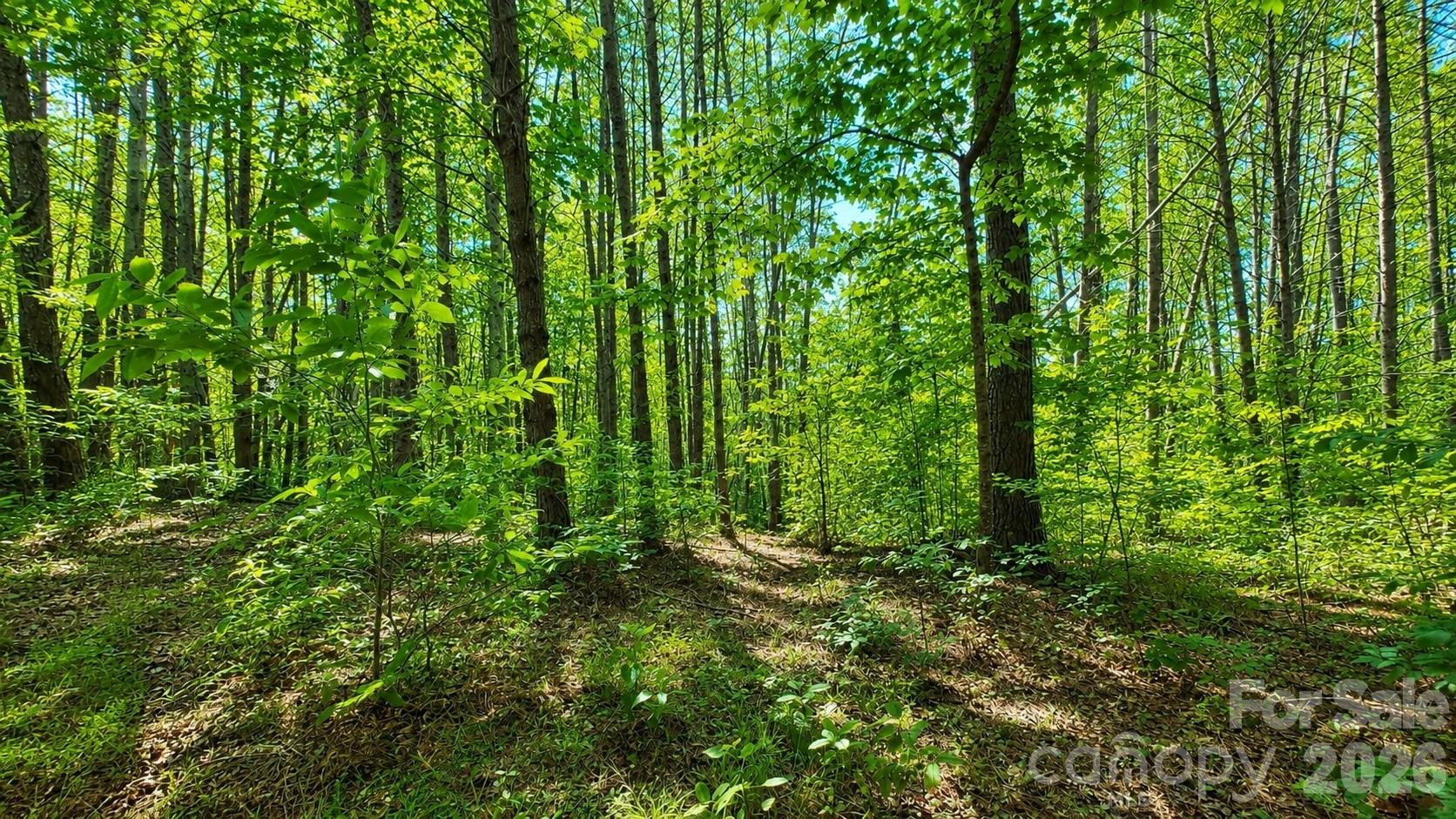 The Coves Mountain River Club - Land