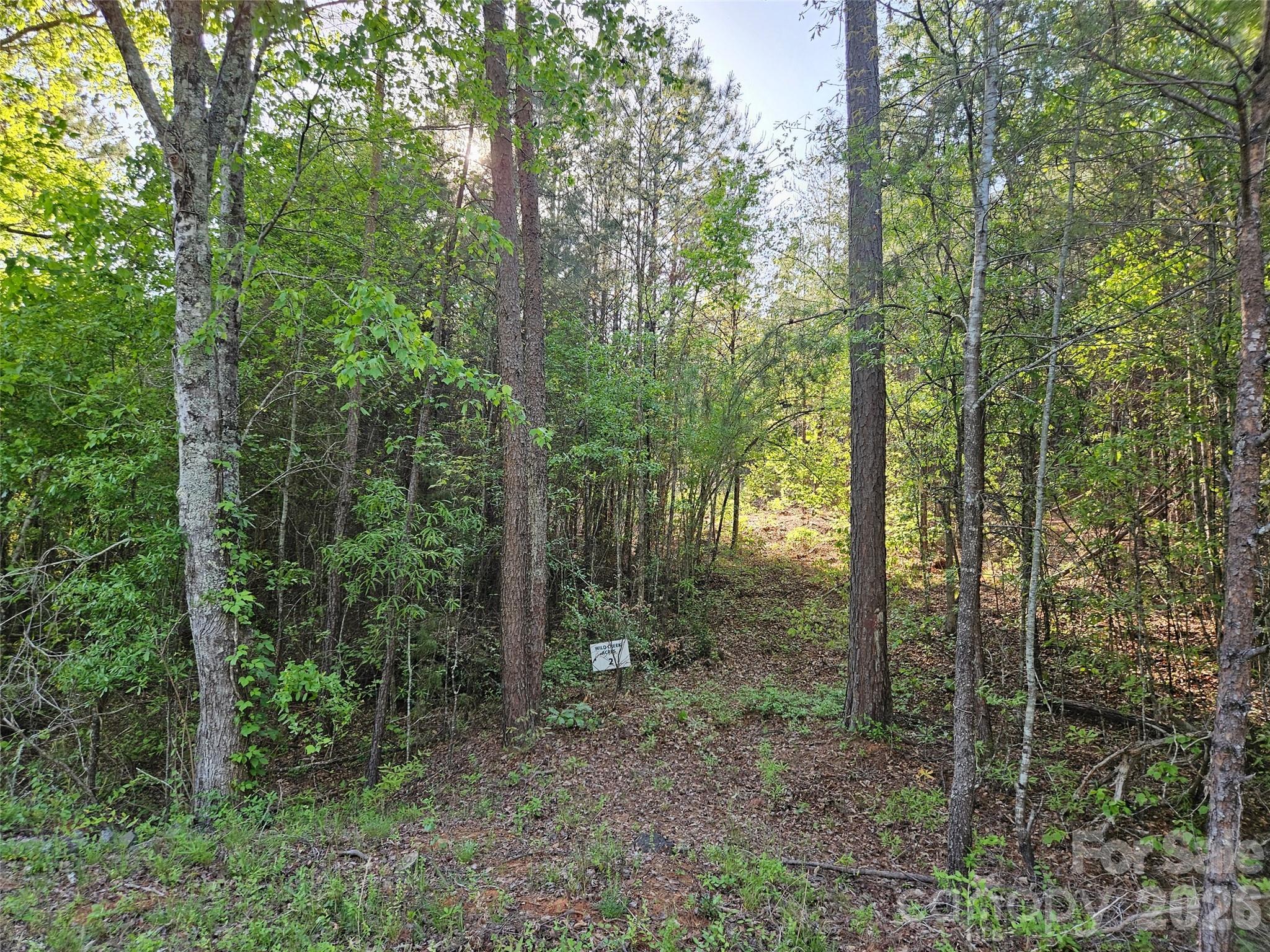 1.31± acre unrestricted land in Ellenboro, NC. Tucked in a quiet, rural setting, this land offers the flexibility many buyers are searching for—bring your tiny home, modular, manufactured home, travel trailer, or design something entirely your own. With no restrictions holding you back, you can create a space that fits your lifestyle, whether that means a peaceful retreat, a full-time residence, or a weekend getaway. Enjoy privacy and convenience with the calm of the countryside while still being just a short drive from Rutherfordton, Forest City, and local shops, dining, and essentials. If you’ve been waiting for an affordable piece of land call today!