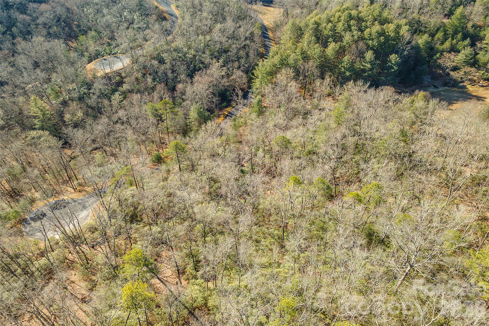 Homestead at Mills River - Land