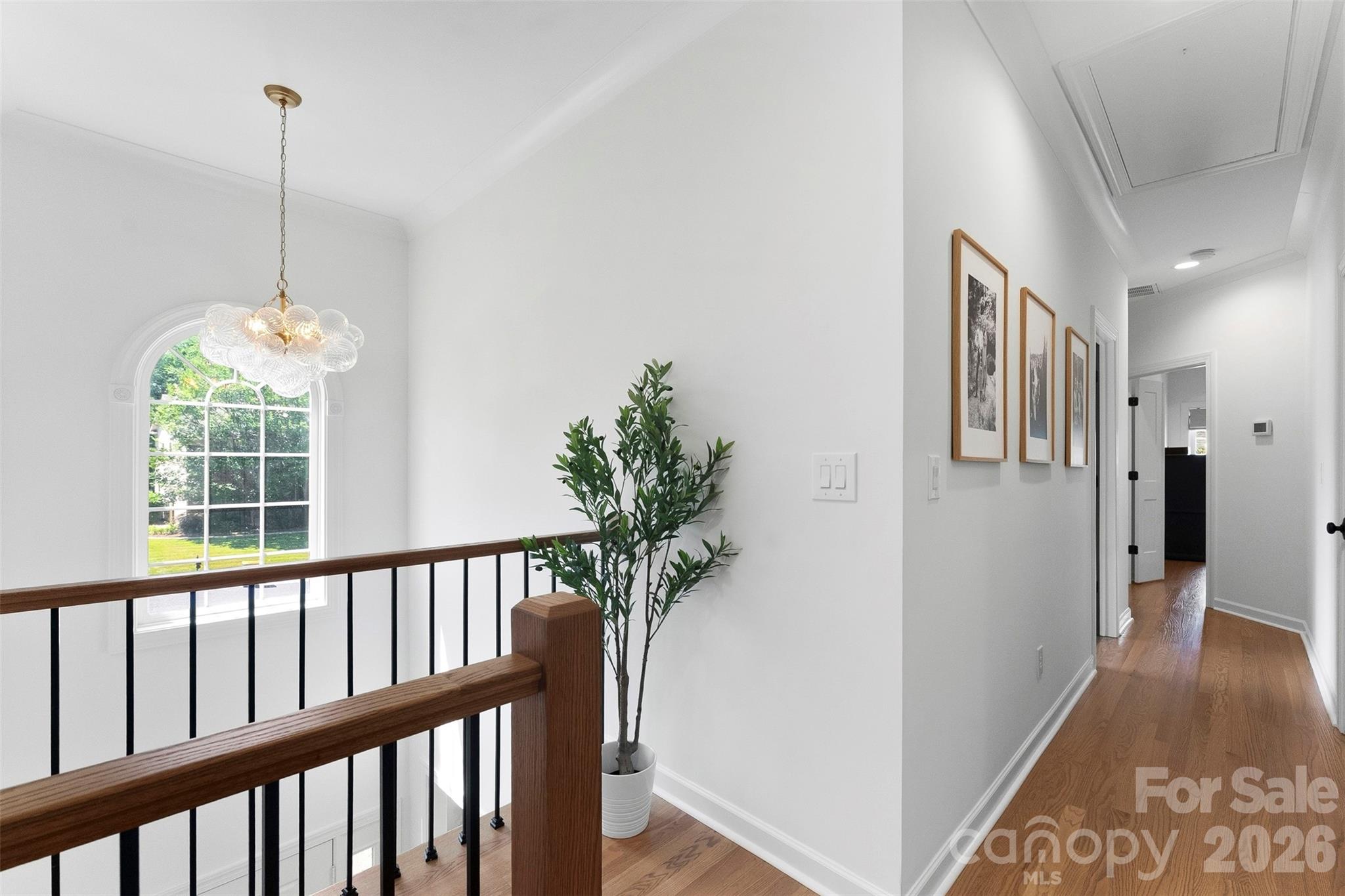 Belle Meade - Residential
