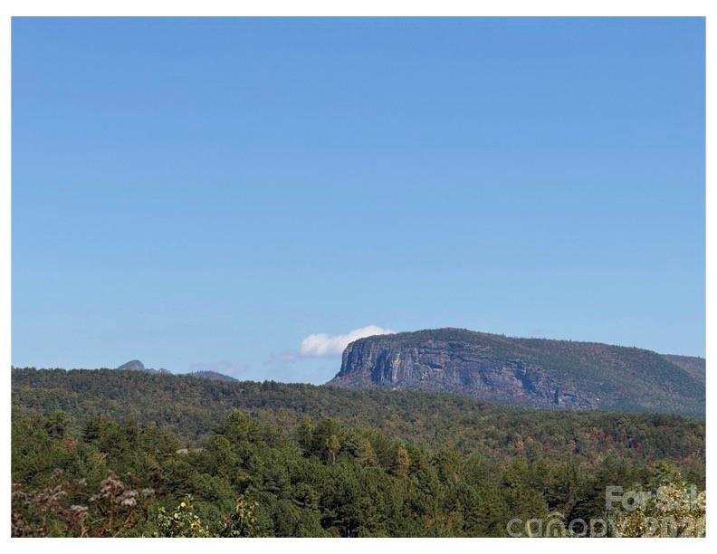 Pisgah Preserve - Land