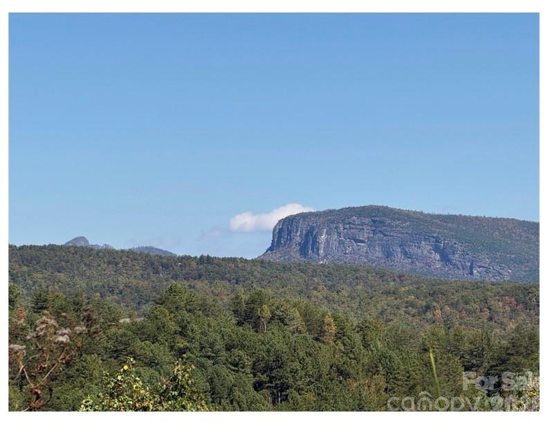 Pisgah Preserve - Land