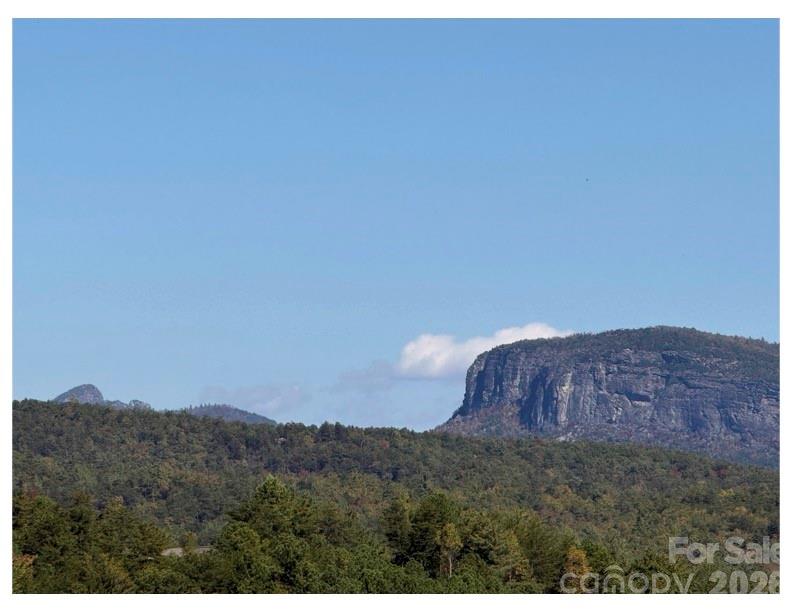 Pisgah Preserve - Land