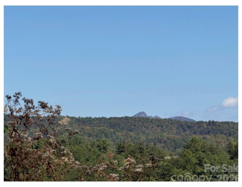 Pisgah Preserve - Land