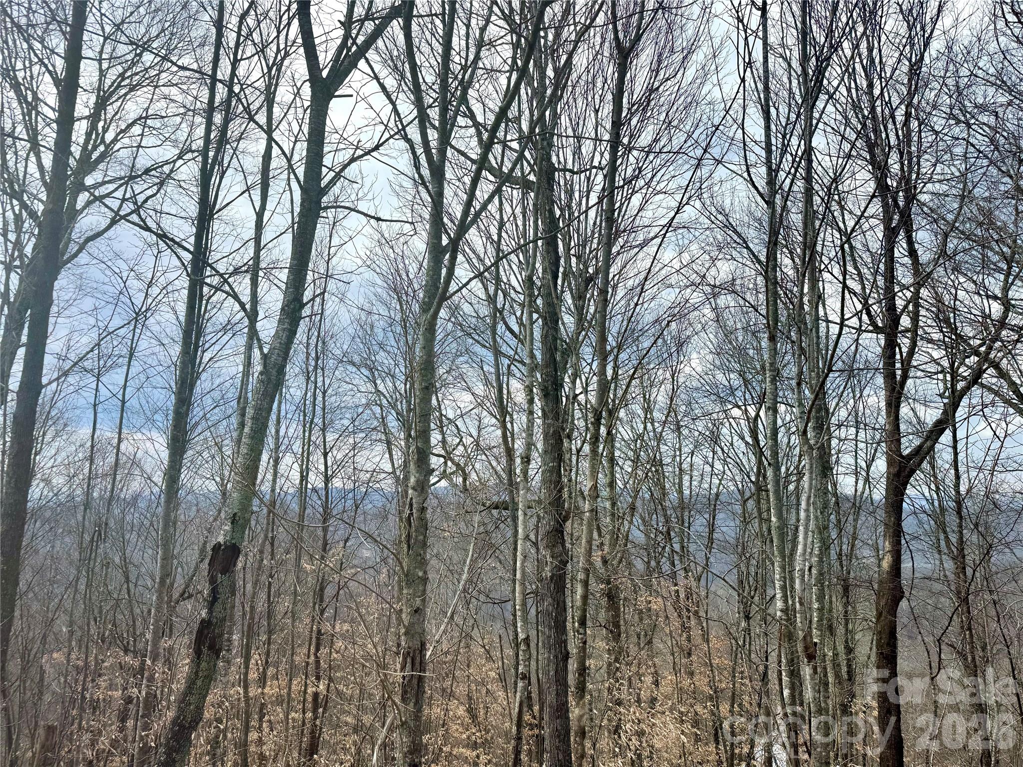 Wolf Ridge - Land