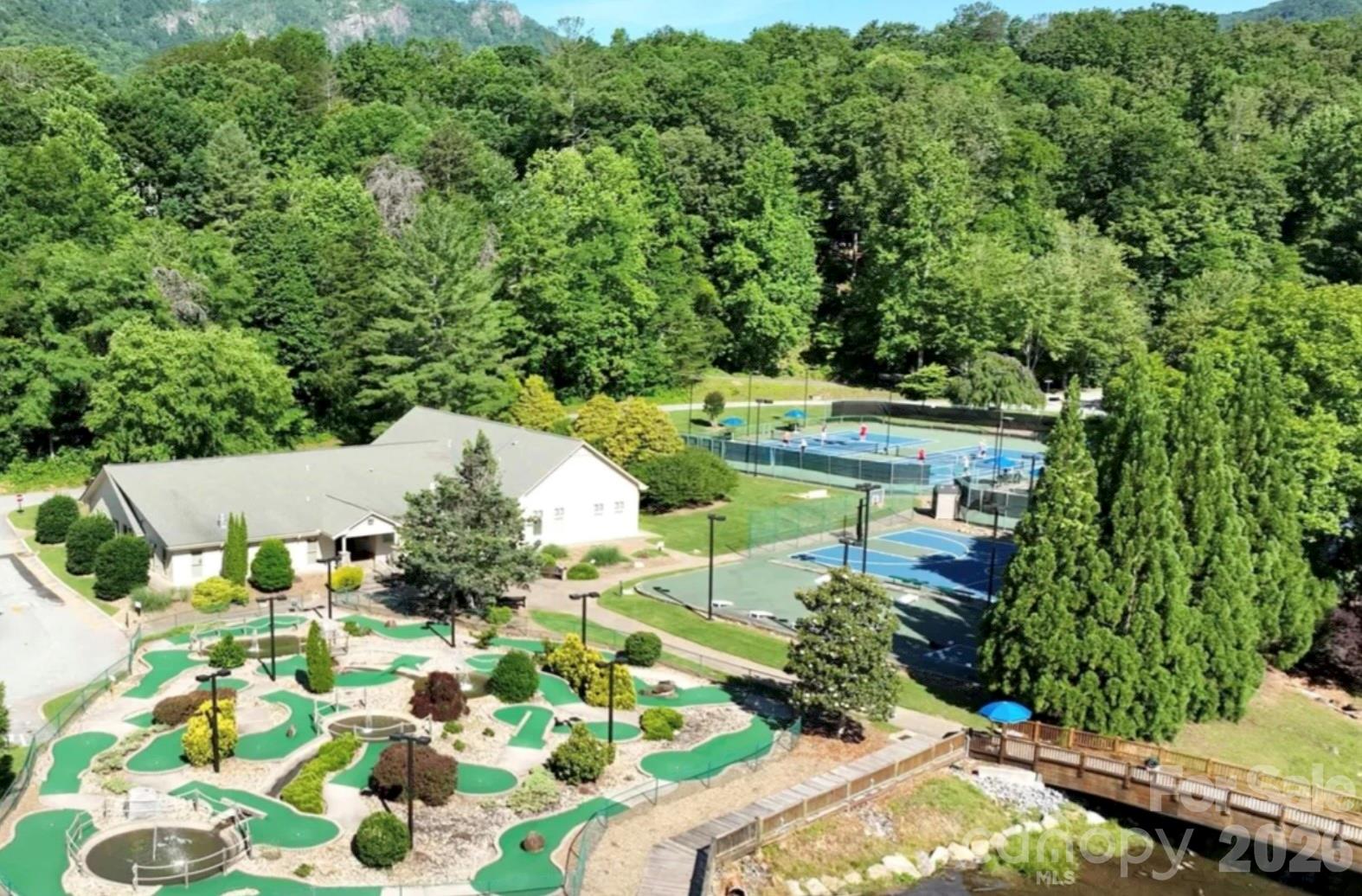 Rumbling Bald on Lake Lure - Residential