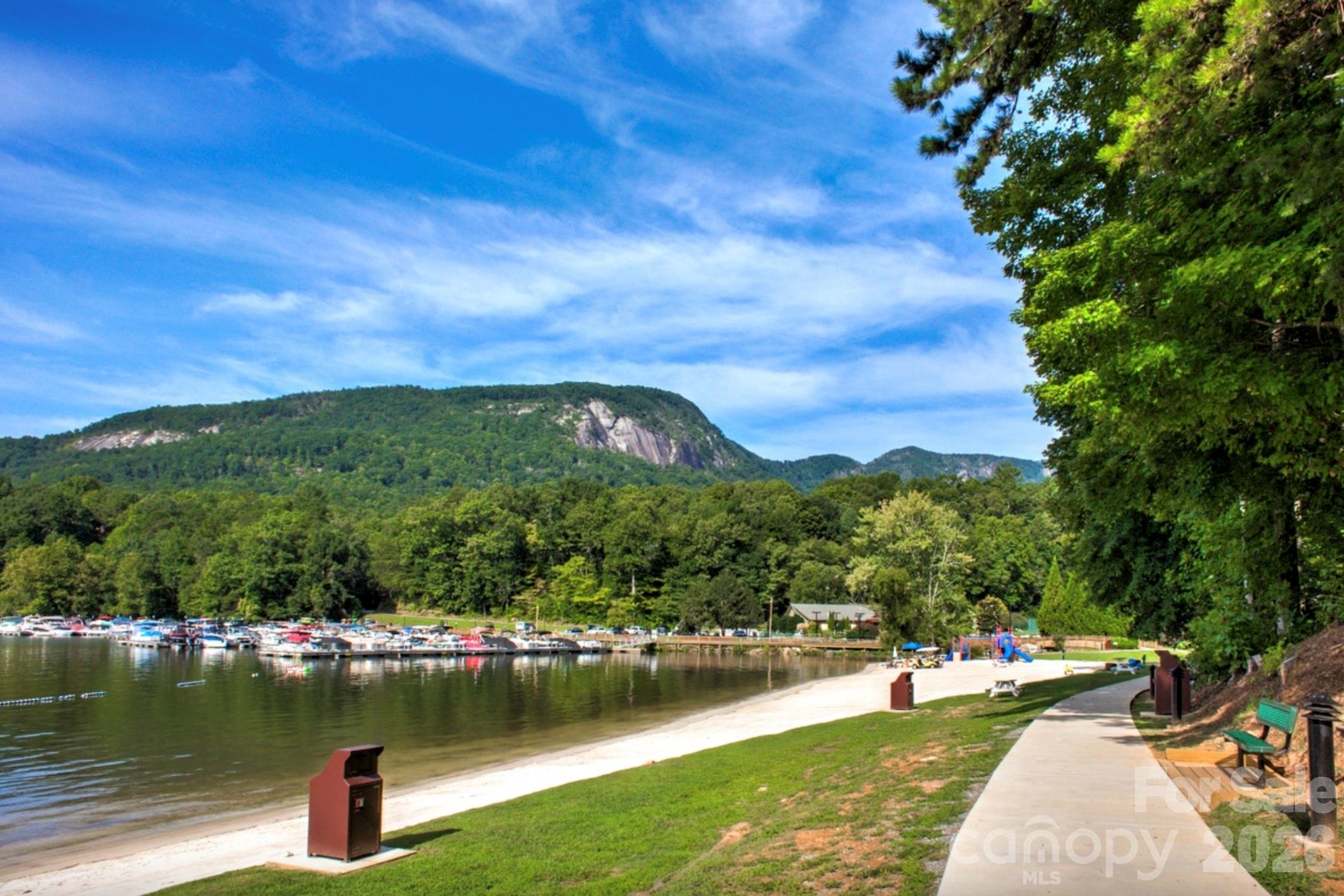 Rumbling Bald on Lake Lure - Residential