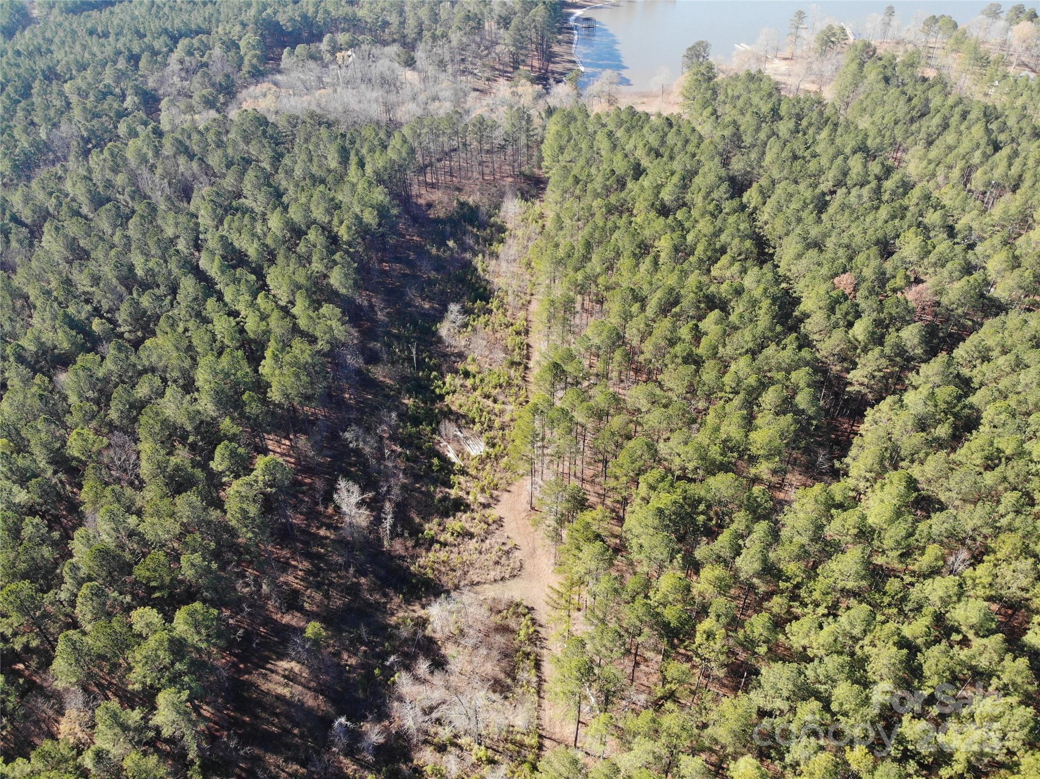 Plantation Pointe - Land