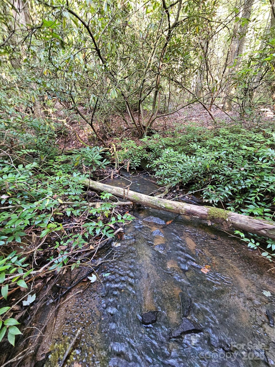 Amongst the banks of the East Fork River lies these four unique lots. The lots are easily accessible right off of Happy Acres Road, and the River runs through three of them. This is a nice secluded area with an abundance of wildlife. Very light building restrictions, prohibiting just mobile homes. Come see what this cool little community has to offer.