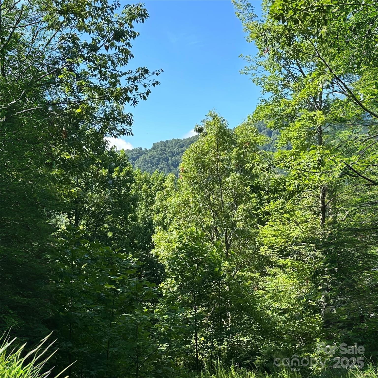 Mountain View Lot in Creston – Black Mountain, NC

Located in the sought-after gated community of Creston, this vacant mountain lot offers a unique opportunity to build your dream home surrounded by the natural beauty of Western North Carolina. The property features expansive mountain views and a peaceful, private setting—perfect for those seeking a quiet retreat in nature. The current owners have already drilled the well!!

Creston is a well-established mountain community known for its underground utilities, nature trails, community center, and conservation areas. Just 25 minutes from the town of Black Mountain, you'll enjoy the perfect balance of seclusion and small-town charm, with local shops, restaurants, and arts nearby.

This lot is ideal for a custom mountain home designed to take full advantage of the views and the serene surroundings. Whether you're planning a year-round residence or a weekend getaway, this property is ready to bring your vision to life.