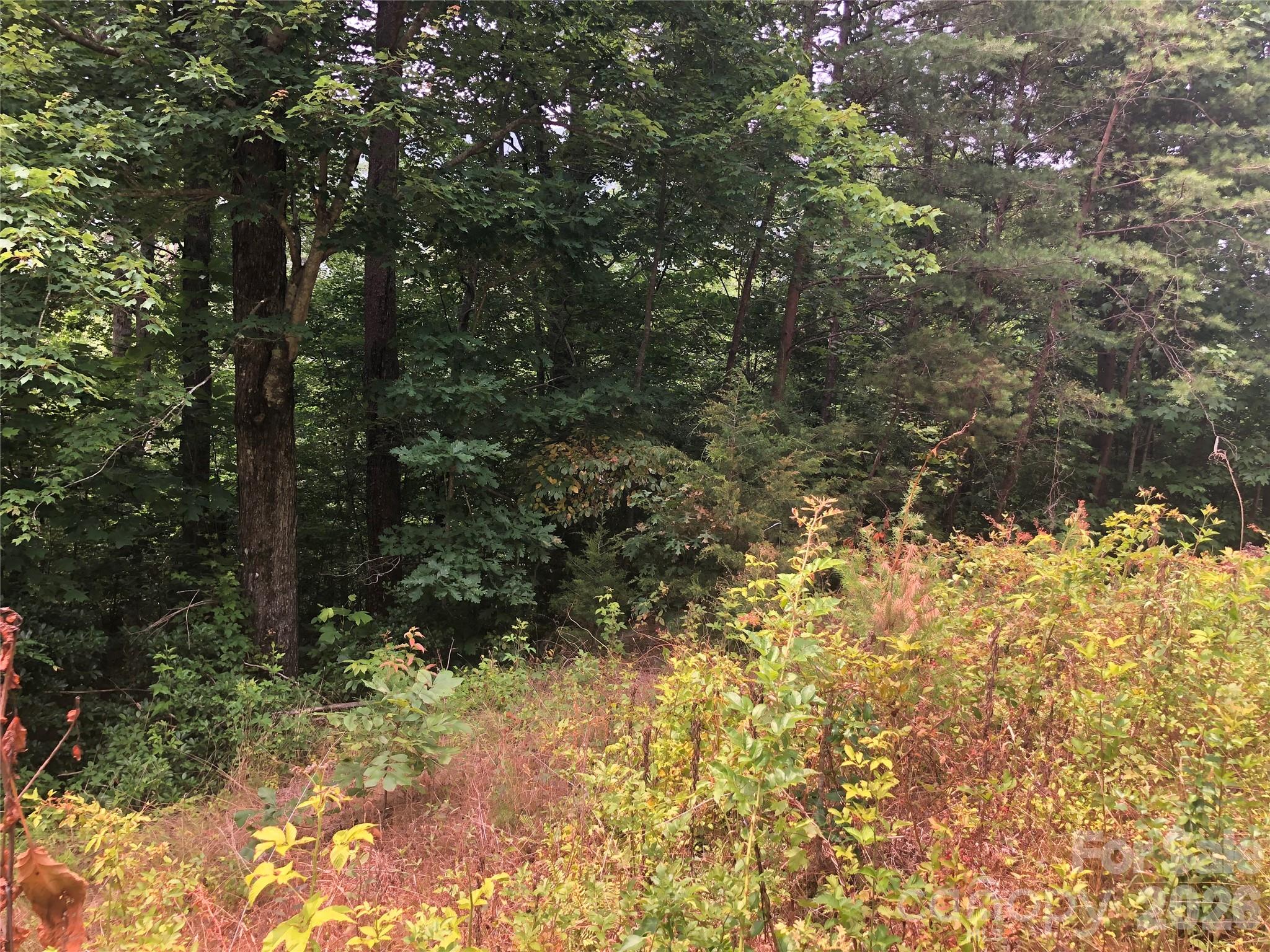 The Crossings at Sugar Hill - Land