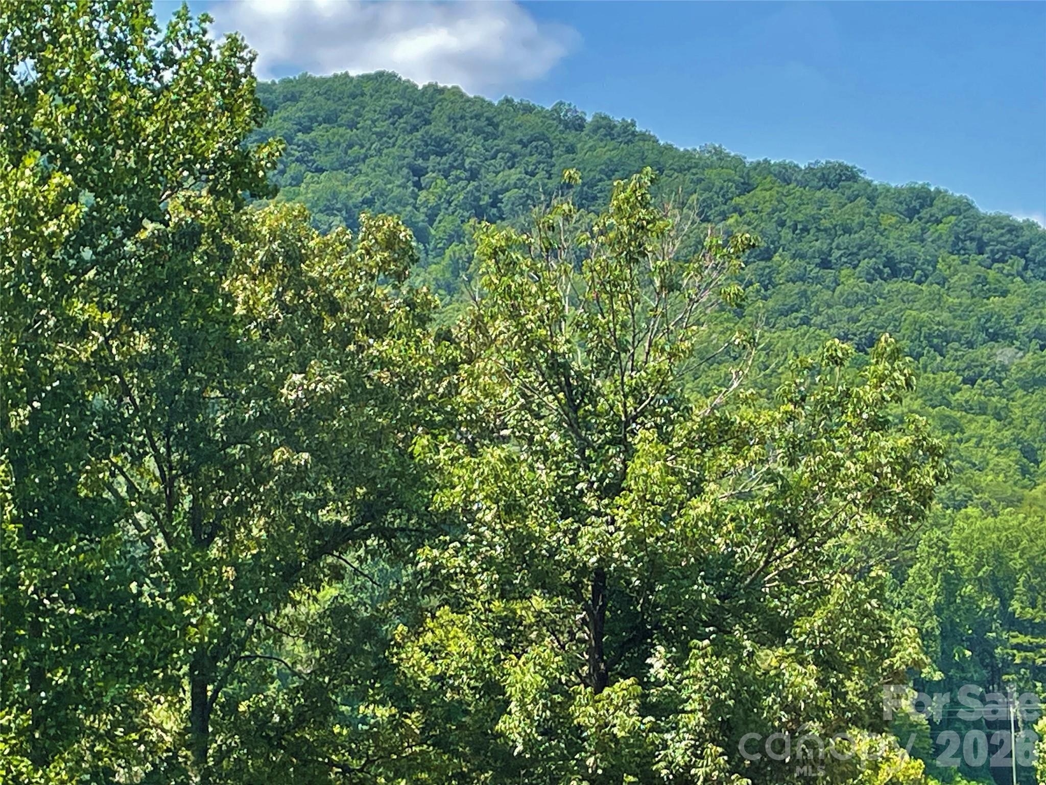 The Crossings at Sugar Hill - Land