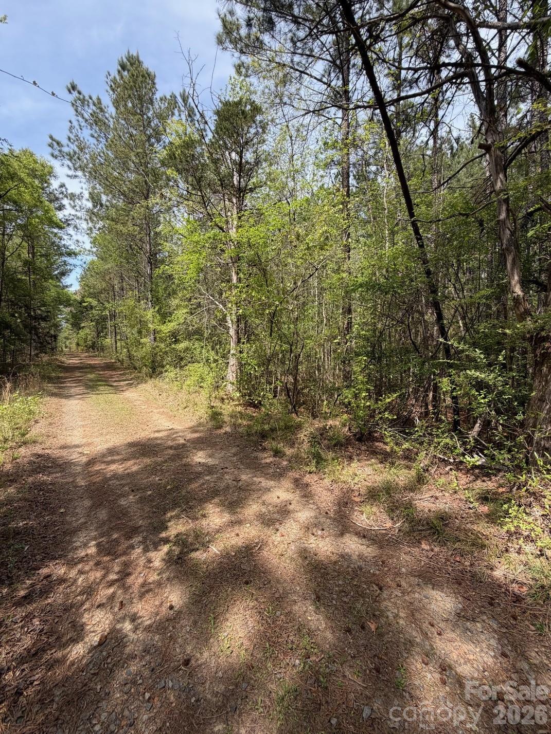 Surrounded by trees, this +/- 1.68 acre lot has a quiet feel and plenty of opportunity to make it your own.