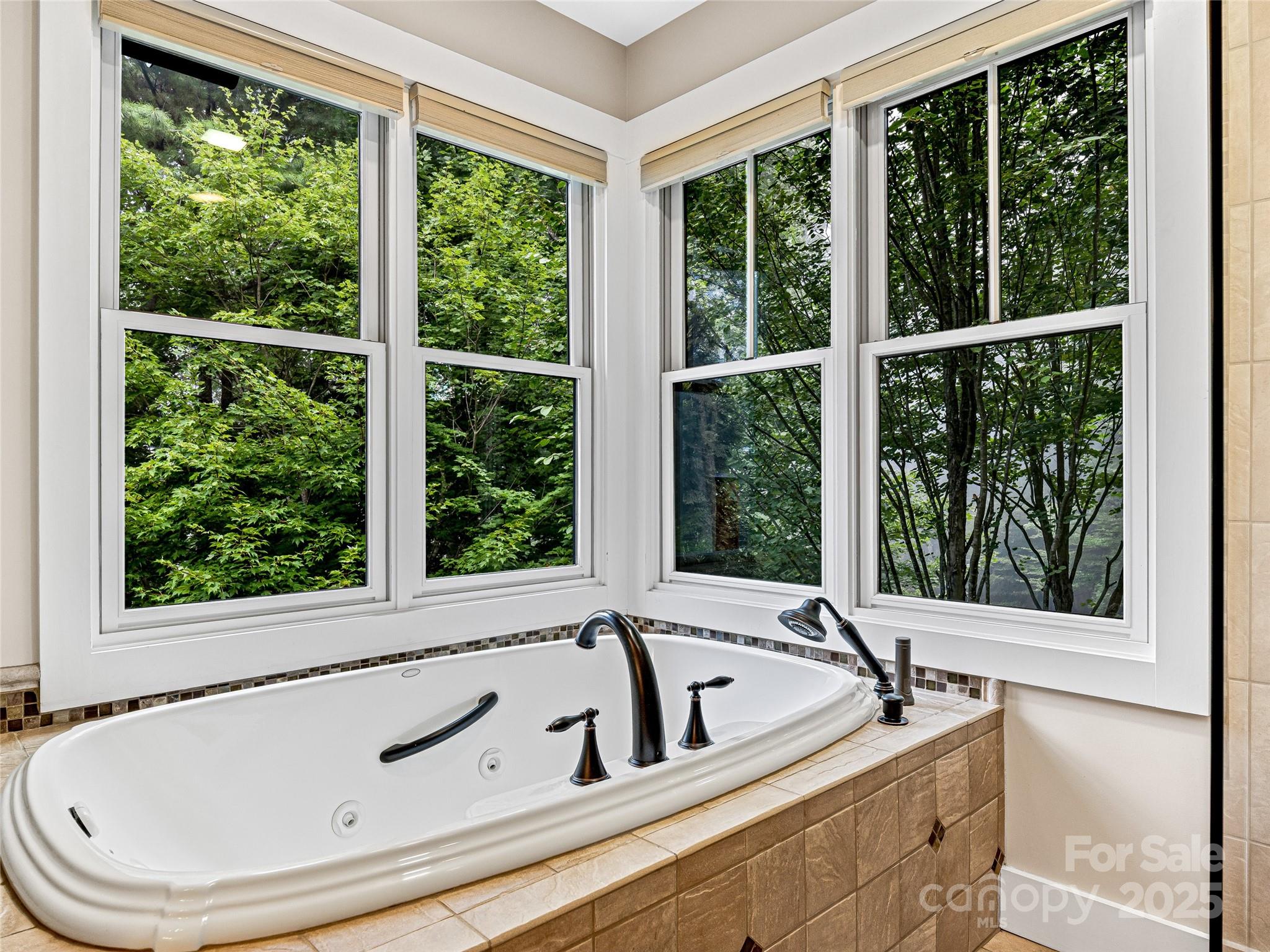 Town Mountain Preserve - Residential