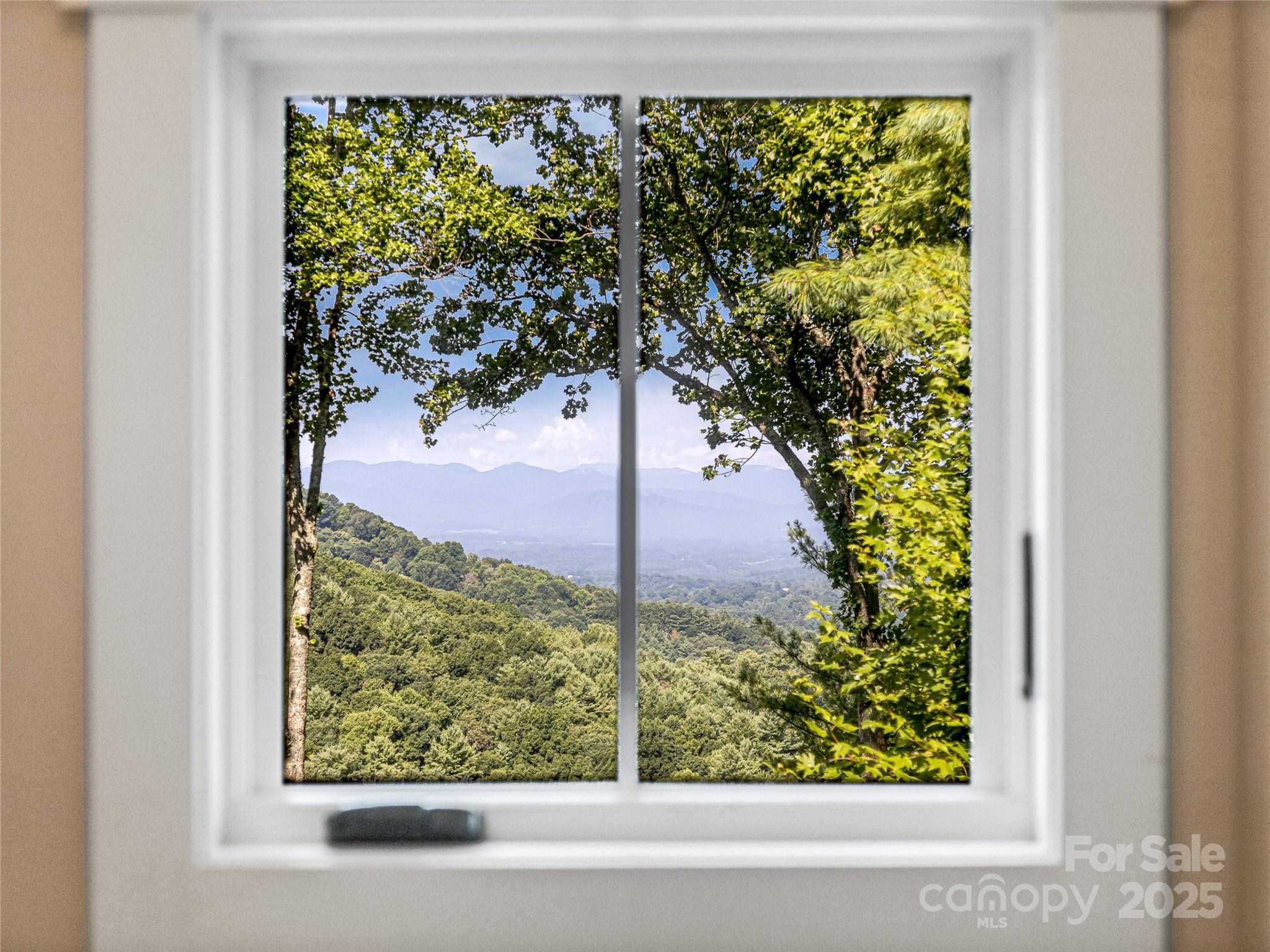 Town Mountain Preserve - Residential