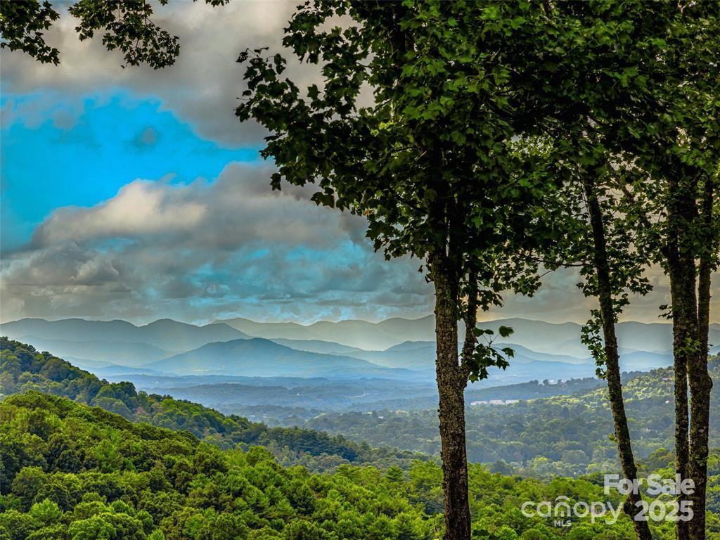 Town Mountain Preserve - Residential