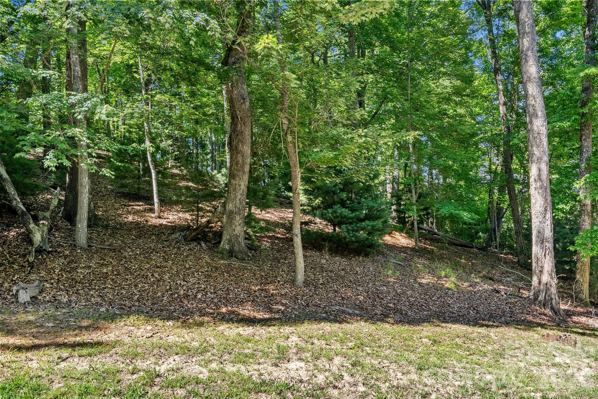 Homestead at Mills River - Land