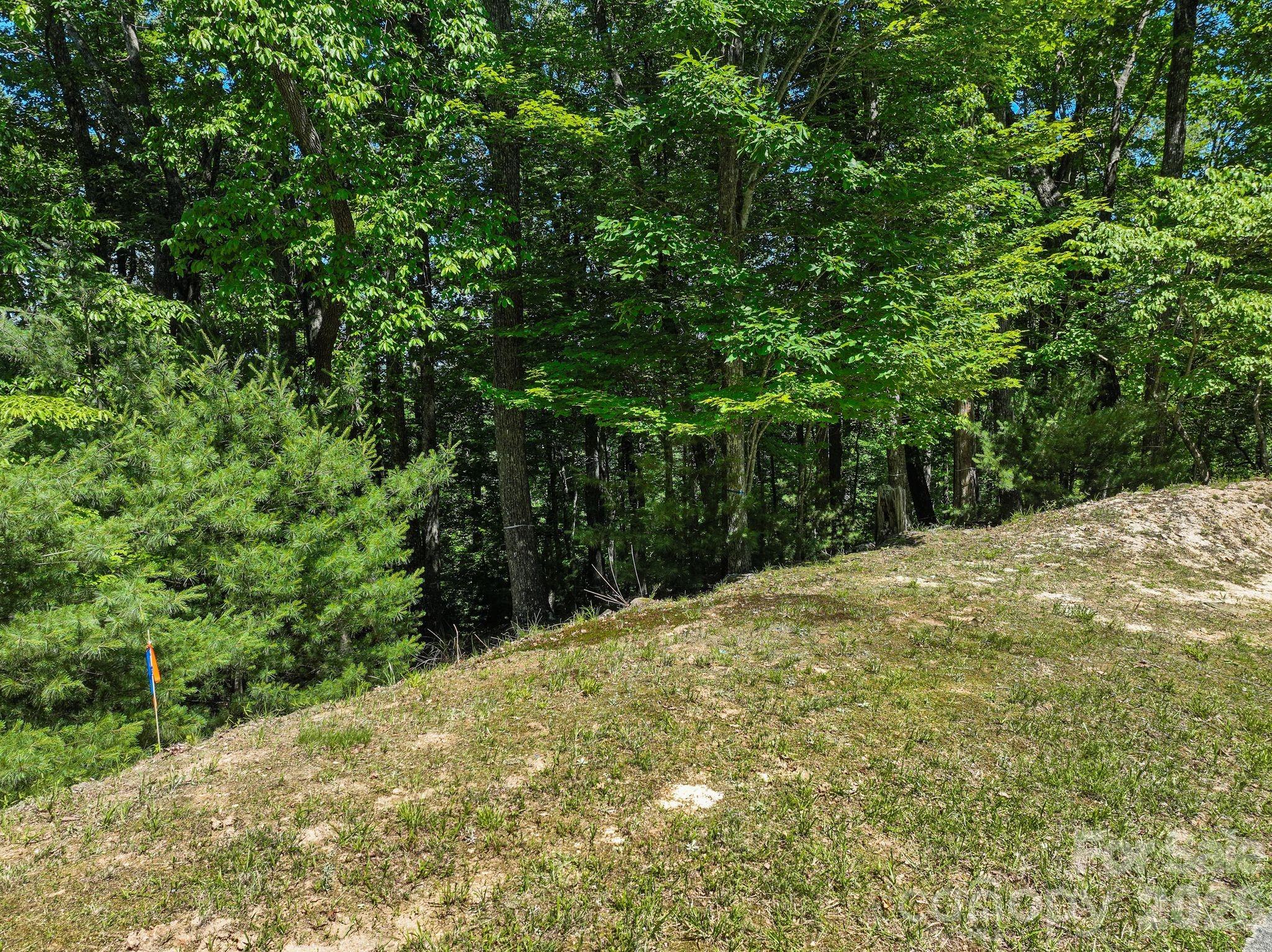 Homestead at Mills River - Land