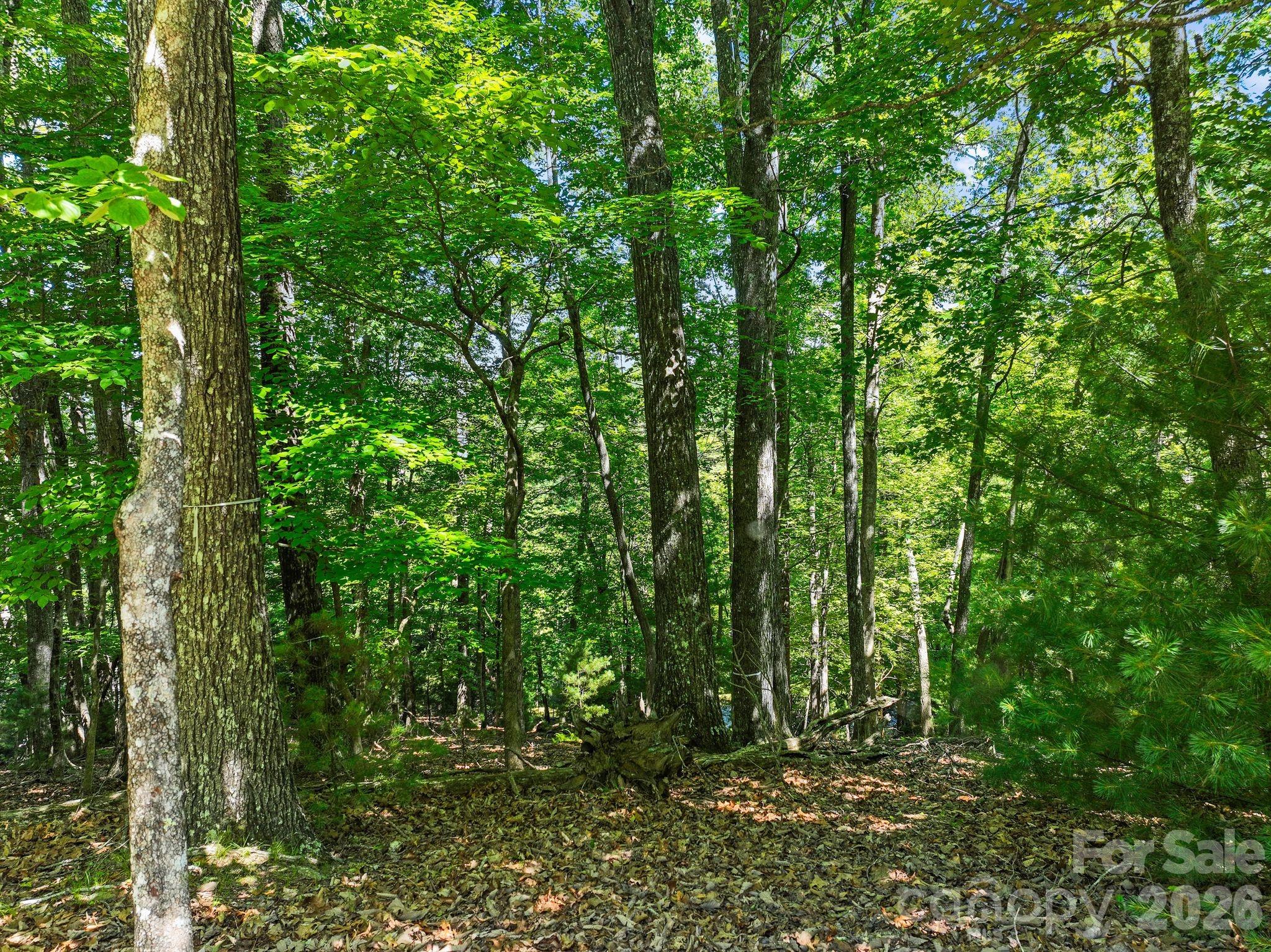 Homestead at Mills River - Land