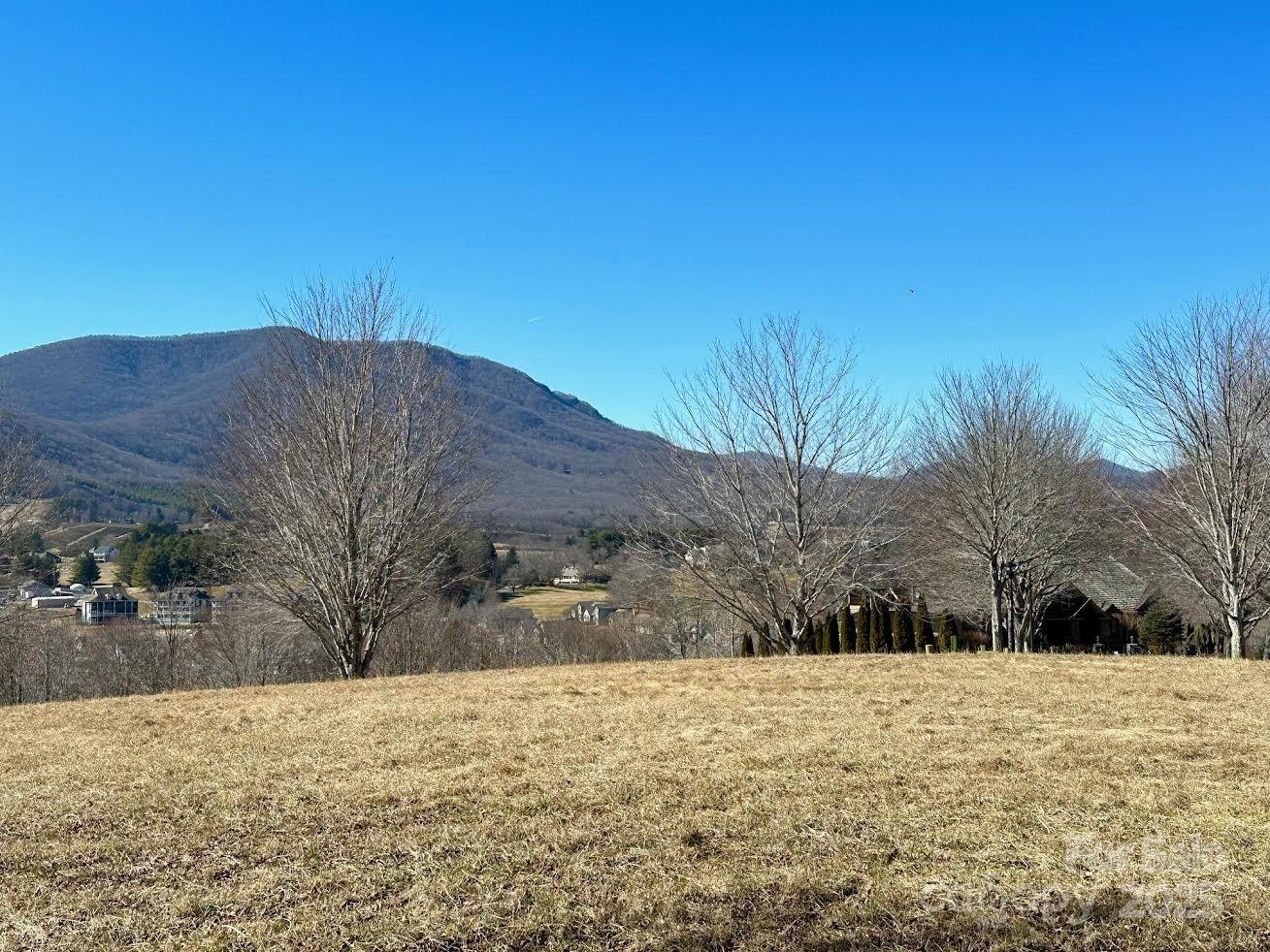Come see today!! This beautiful site is situated on an elevated ridge with views of the Blue Ridge Mountains and the community. Features include a desirable level building lot with access to community sewer. Jefferson Landing, a gated golf community, features a magnificent 18 hole golf course. Additional amenities associated with Club Membership include access to the clubhouse, swimming pool with dining/ bar area offering tasty food & drink options, well equipped fitness center, pickleball /tennis courts and Riverside Park, which features a covered pavilion adjoining the New River. Coming this spring: Himalayan style putting course & a total of seven par 3 practice holes w/ bar & food options available. There is a $1000 Capital Improvement fee pd to the JL POA, by the buyer at closing.