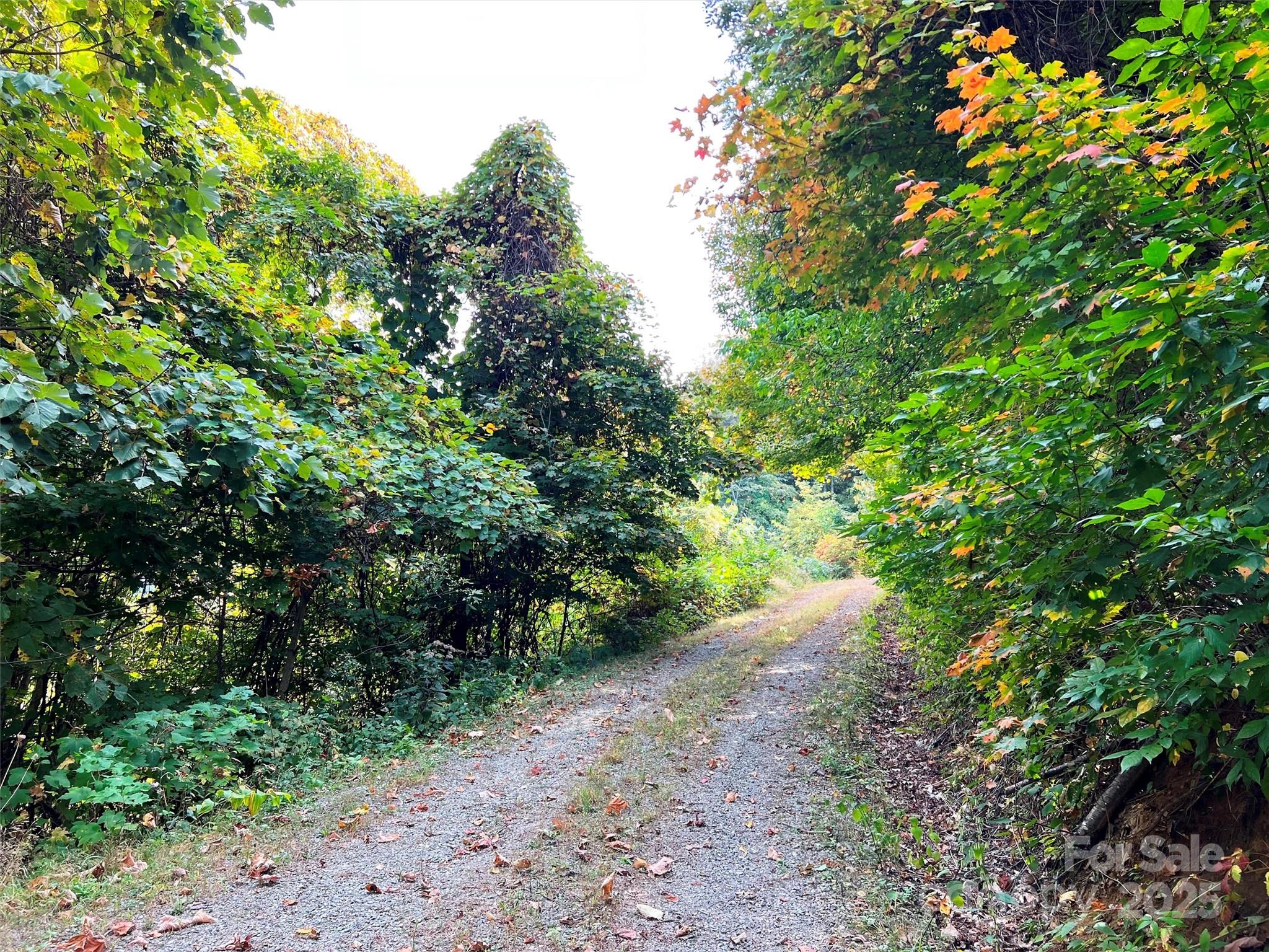 Apple Blossom Estate - Land