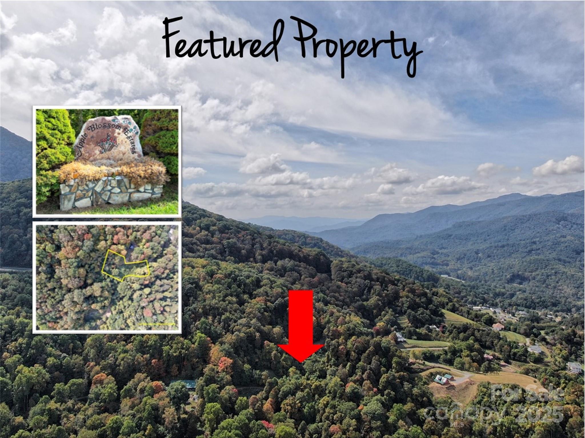 Great Views in well established neighborhood of Apple Blossom Estates!  If you are looking for a great view with
an easy laying lot, then look no further.  Located just minutes outside of Waynesville, mostly paved access.
Perfect house site for your mountain retreat!  Septic Evaluation attached.  City water is available.