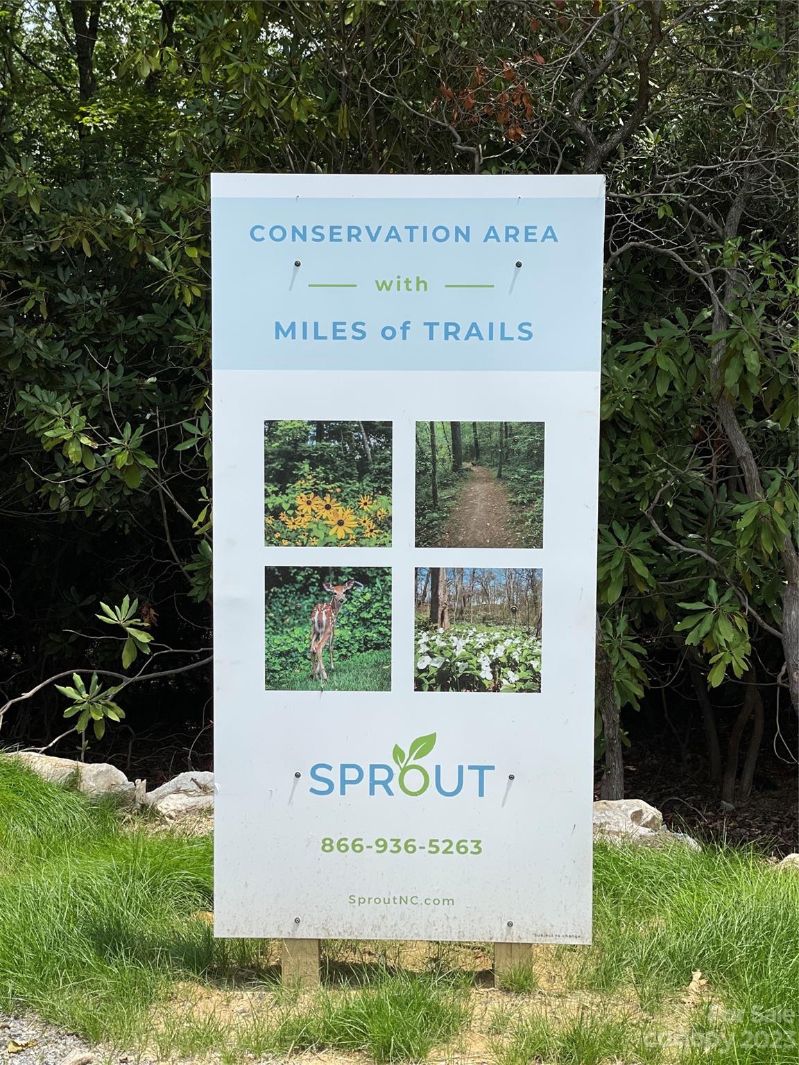Sprout - Land