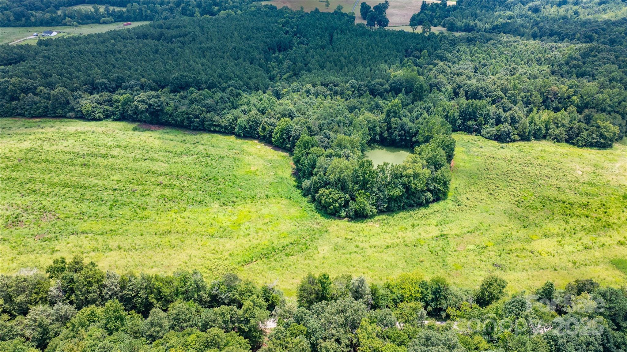 Welcome to Daystar Farms, a new subdivision offering 20 unique tracts ranging from 4(+) to 77 acres. Whether you’re seeking a serene residential lot, a mini-farm, hunting preserve, or a recreational haven, Daystar Farms has the perfect property for you. Daystar Farms is more than just a place to live; it’s a lifestyle. Imagine waking up to the sounds of nature, exploring your own private land, and having the space to pursue your passions. Build your vision-your way. Lot 17 is primarily cleared with a wooded border along the rear property line. This lot provides excellent opportunities for hunting and outdoor recreation.  Daystar Farms is conveniently located with easy access to nearby amenities without sacrificing peaceful rural living. Soil tests have been performed with favorable results for conventional septic systems.