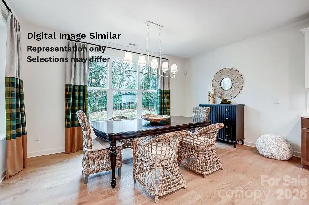 Brighton Park - Residential