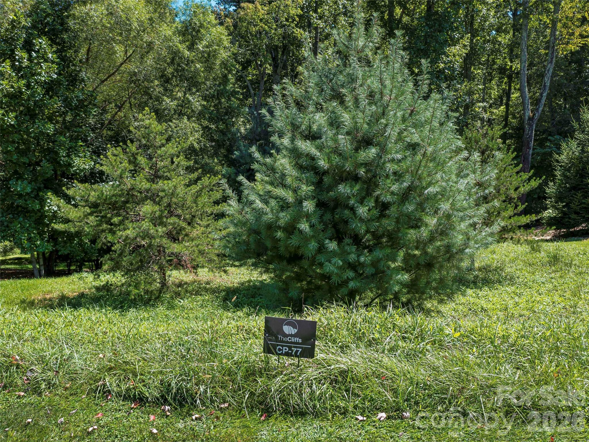 The Cliffs at Walnut Cove - Land