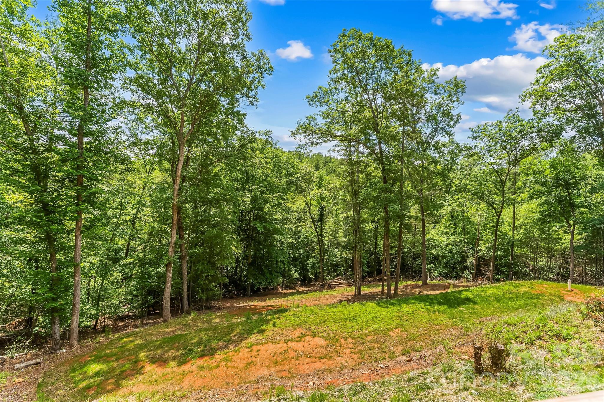 Forest Lake Preserve - Residential