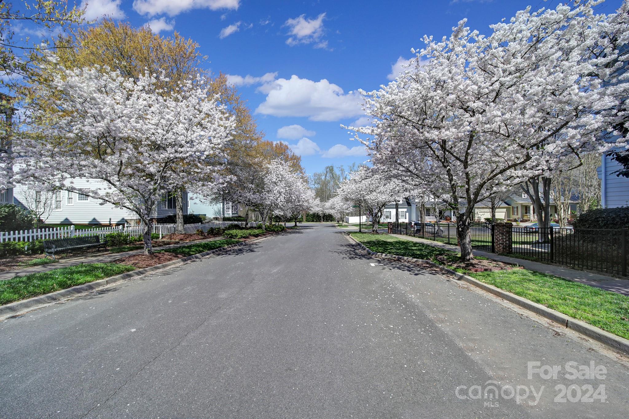 Baxter Village - Residential