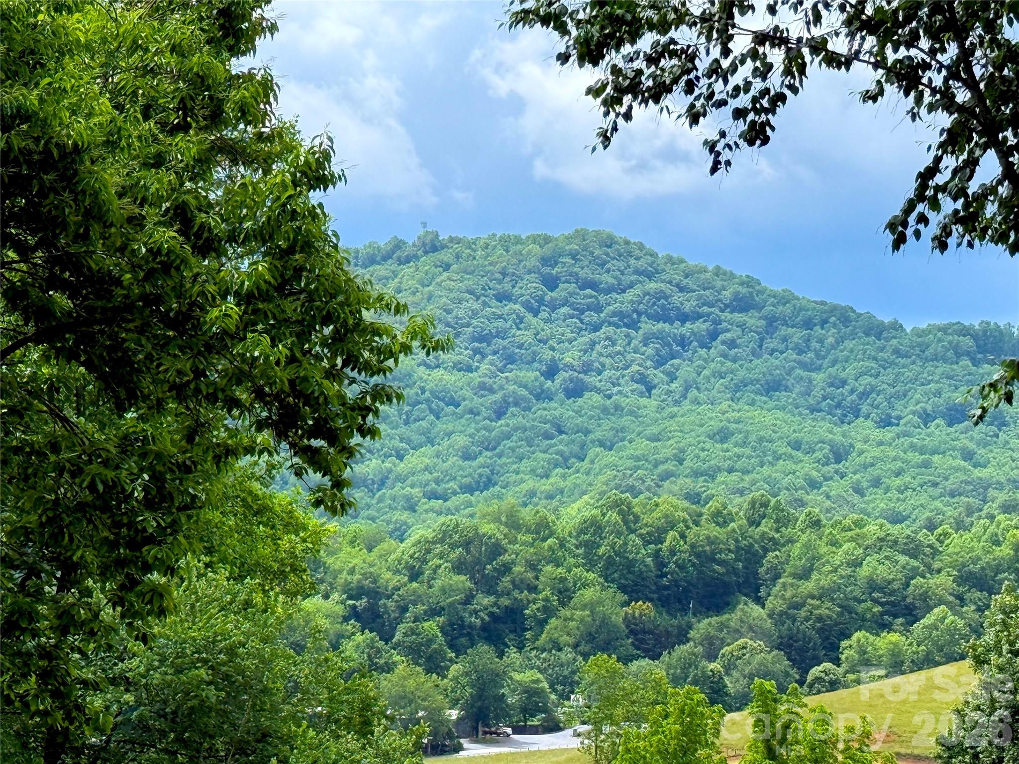 Cobblers Knob - Residential