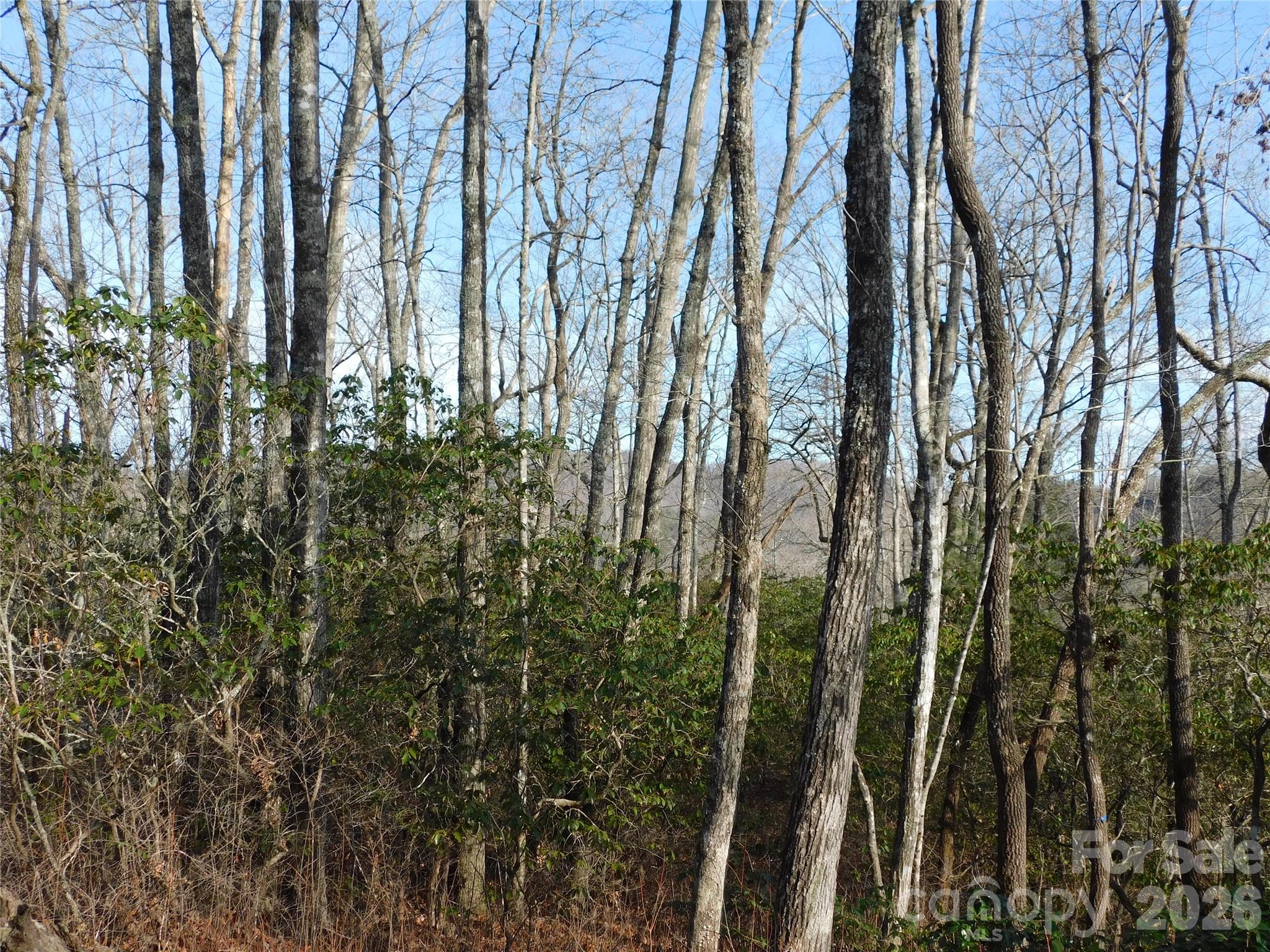 Big Hill - Land