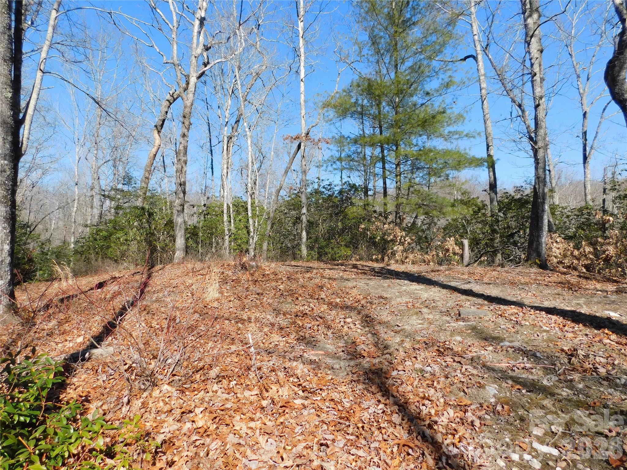 Big Hill - Land