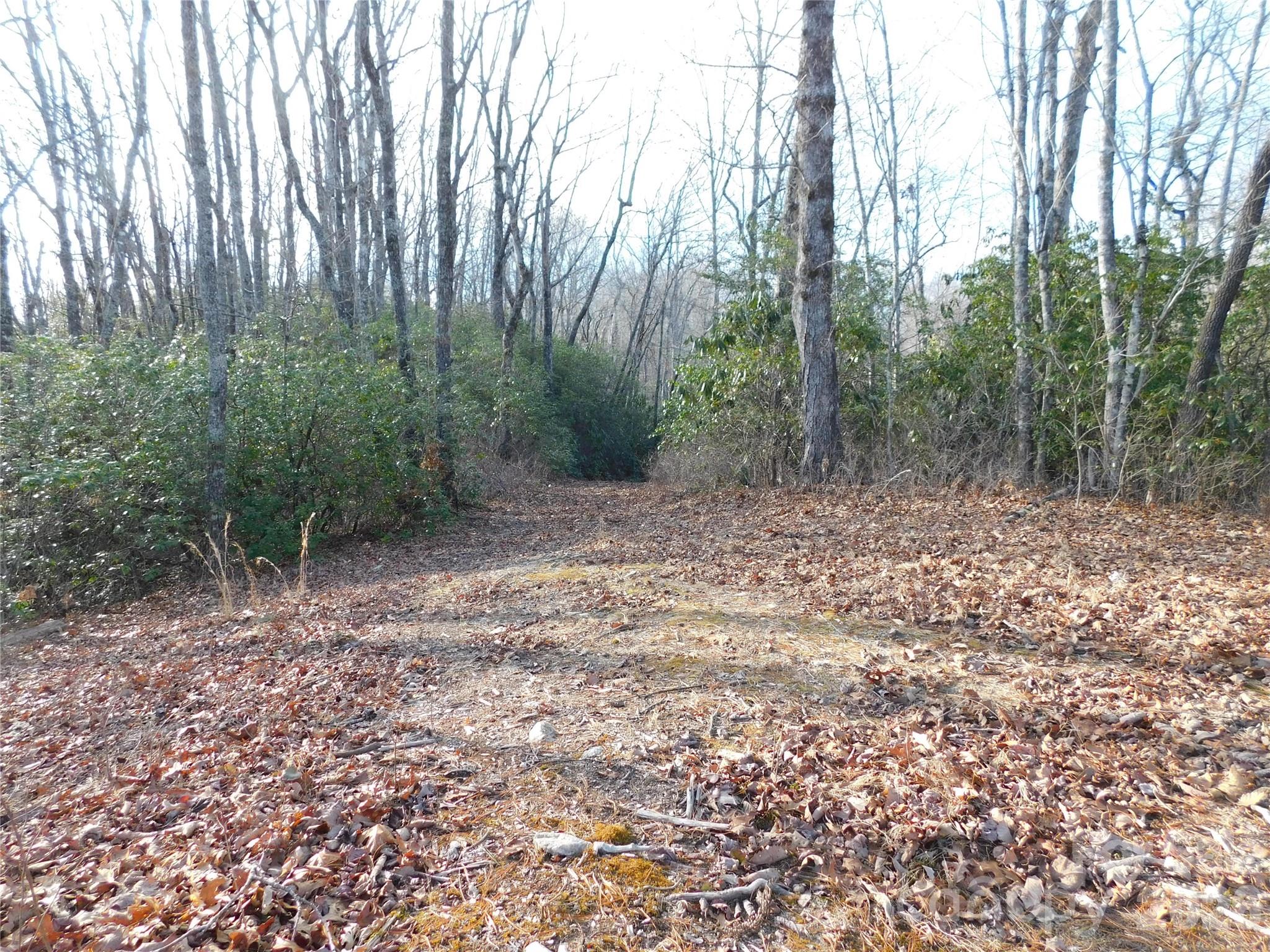 Big Hill - Land