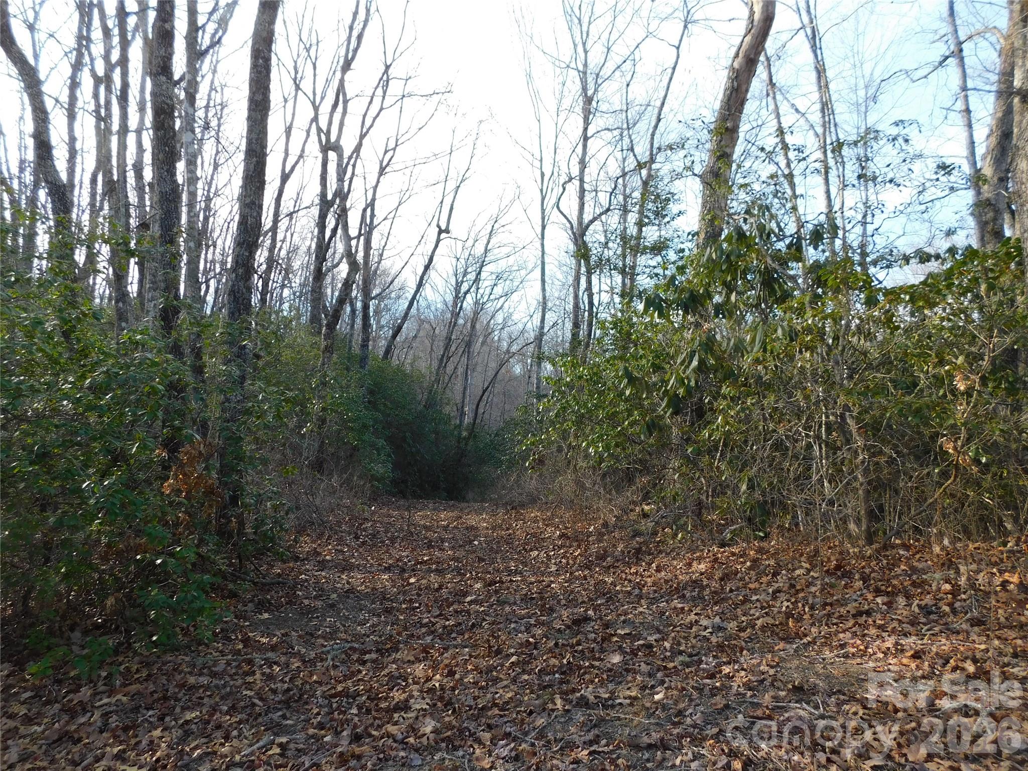 Big Hill - Land