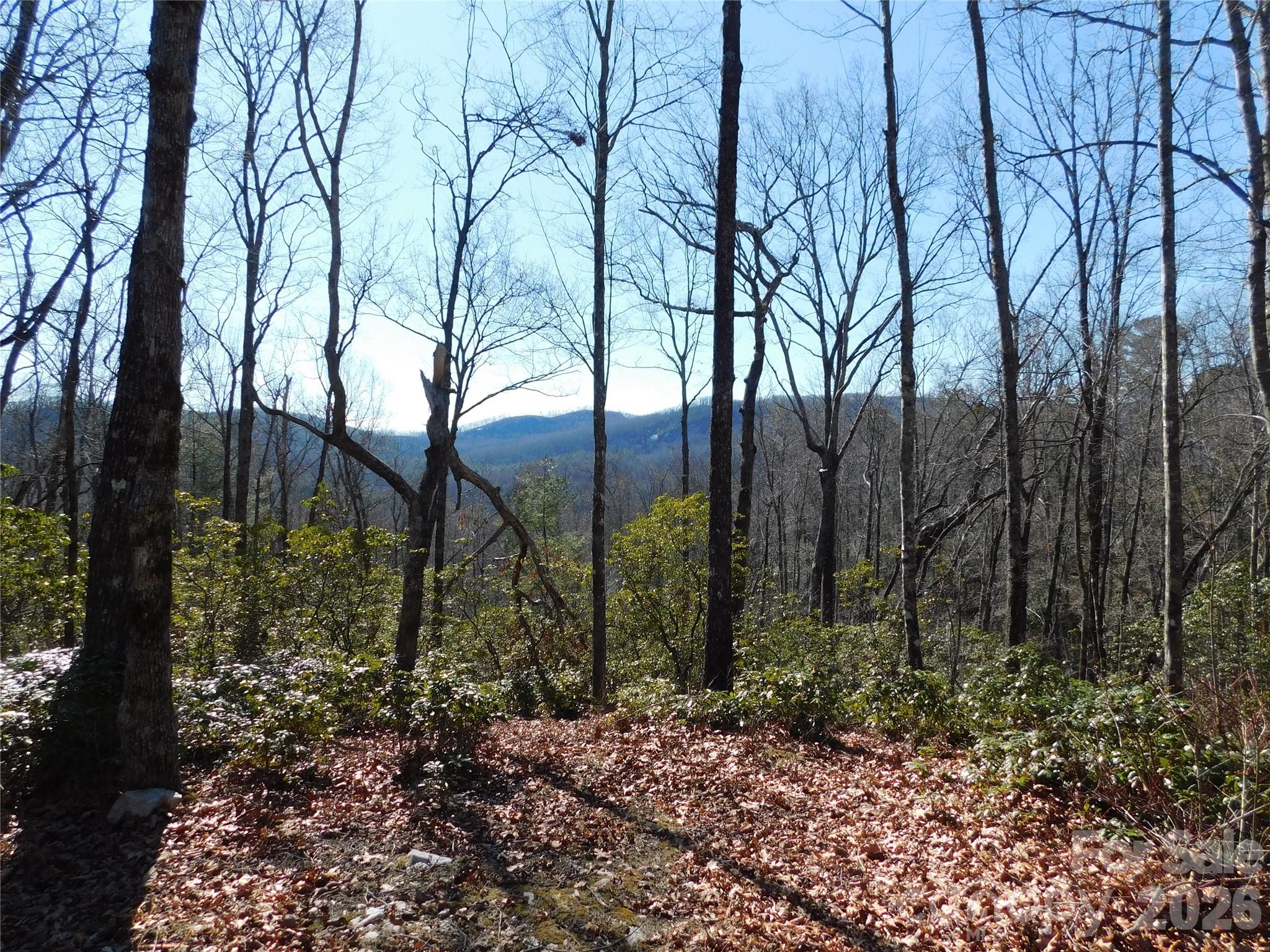 Big Hill - Land
