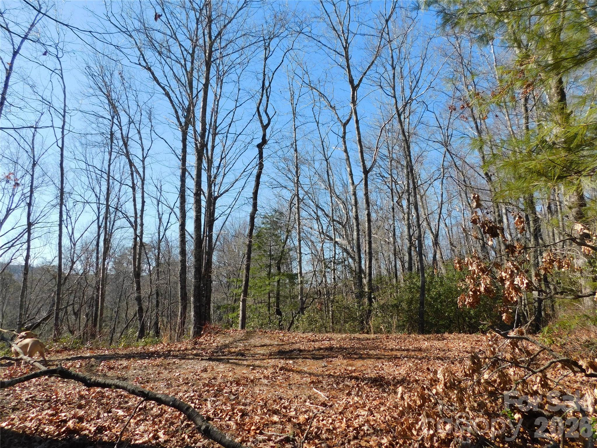 Big Hill - Land