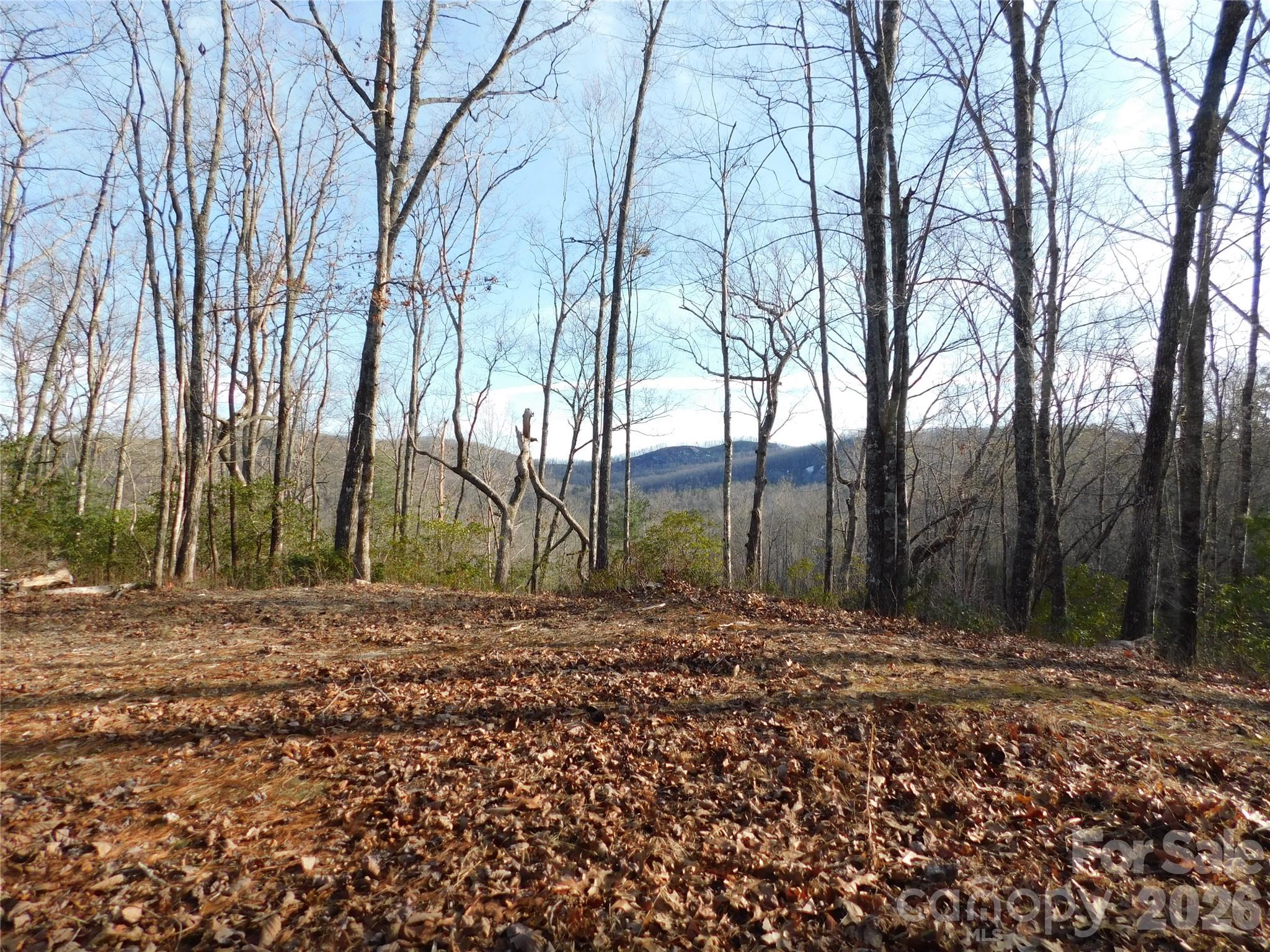 Big Hill - Land